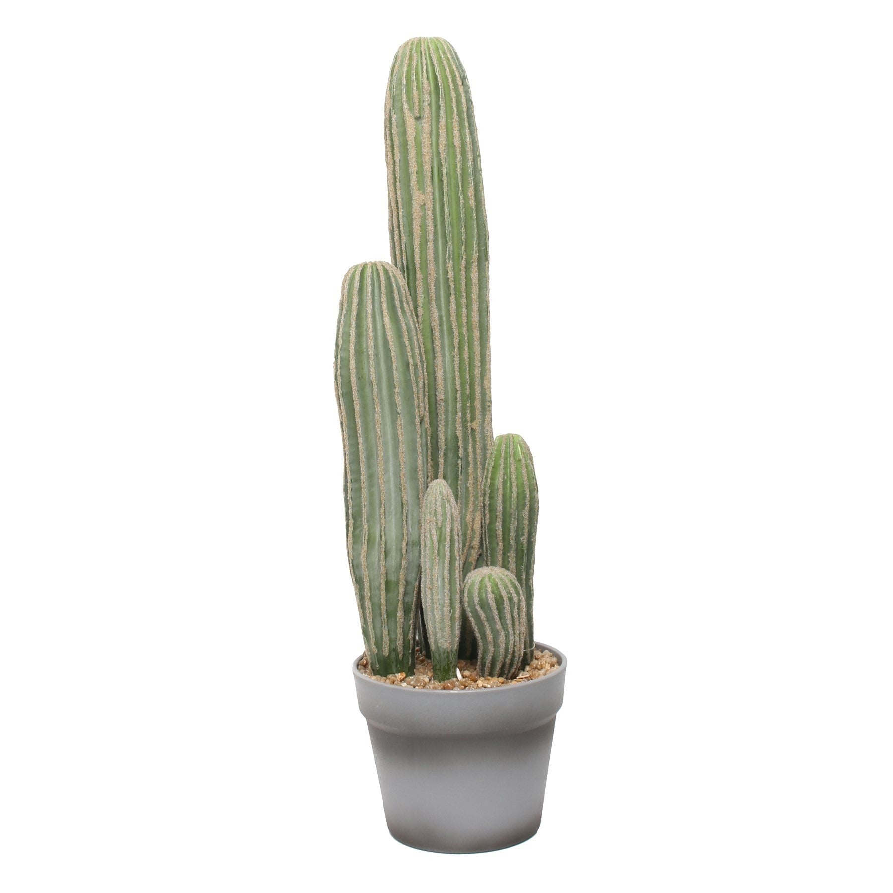 View Artificial Potted Cactus 23inch information