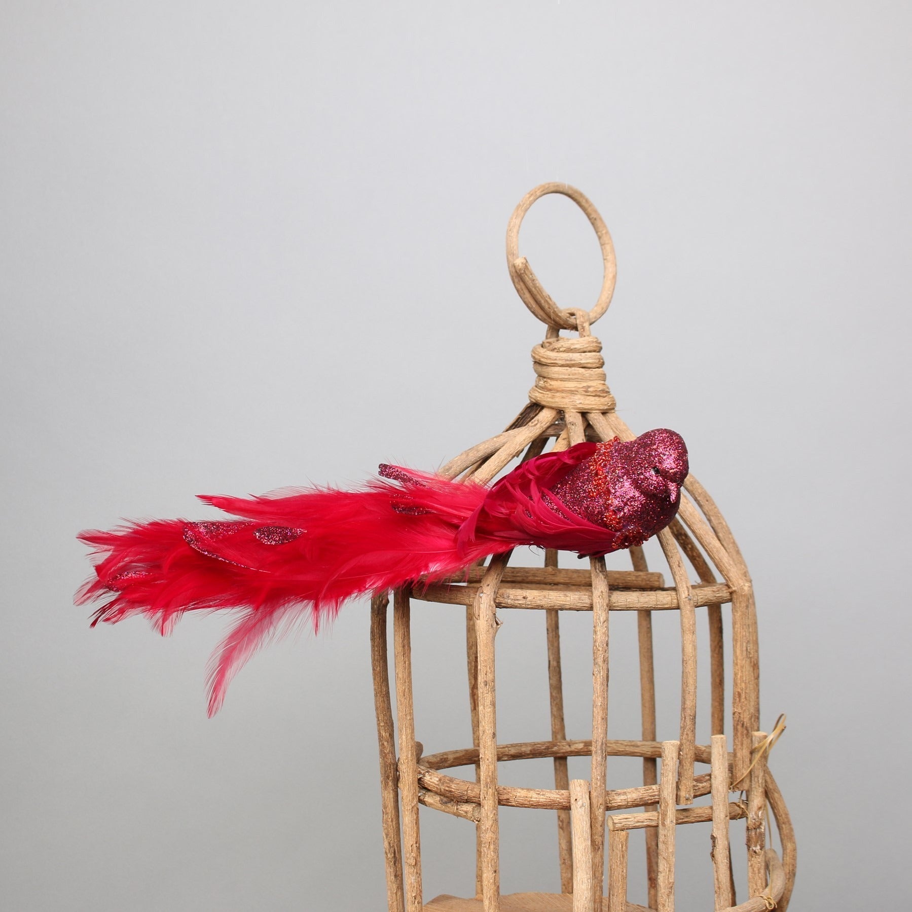View Red Lyre Bird Glitter with clip information