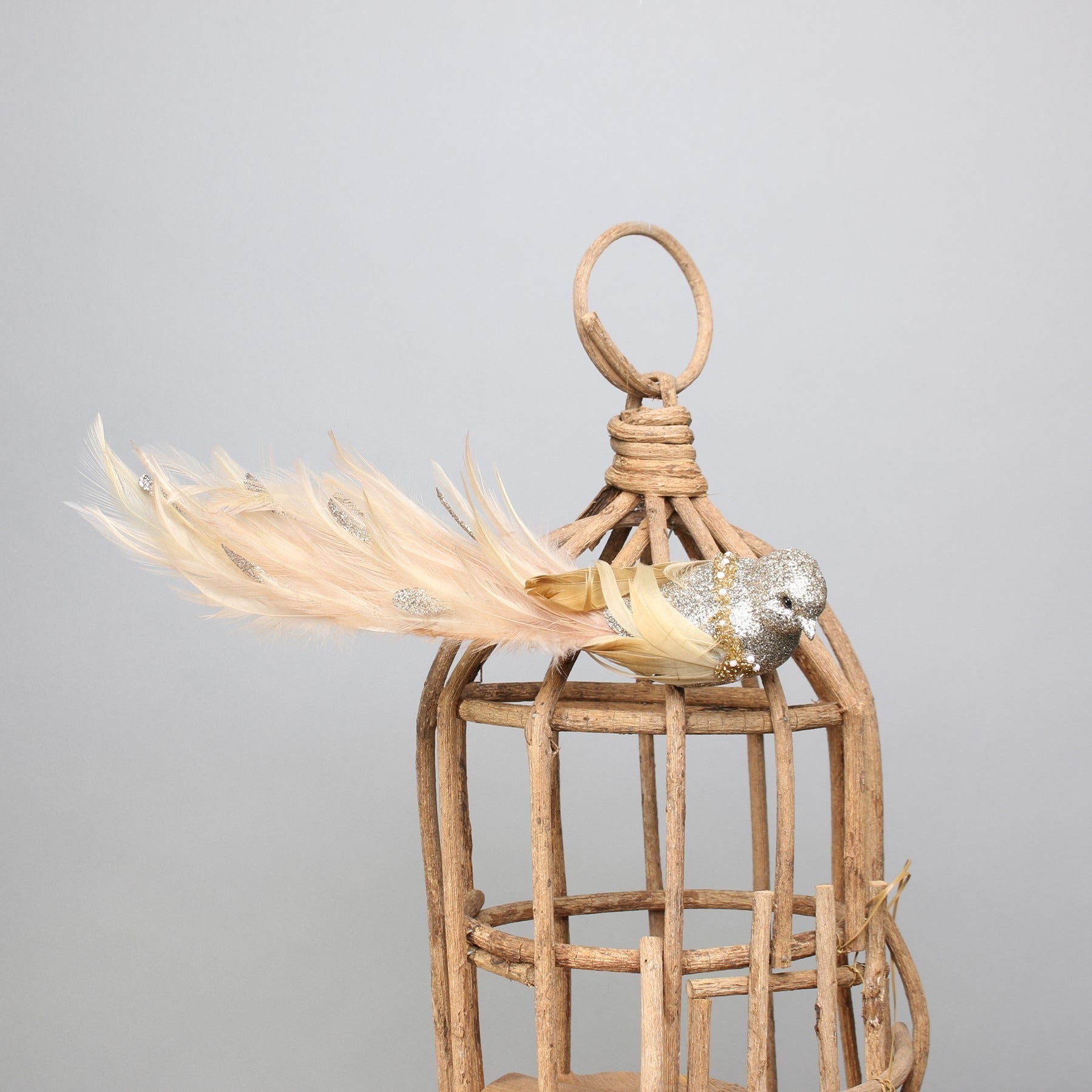 View Gold Lyre Bird Gold Glitter with clip information