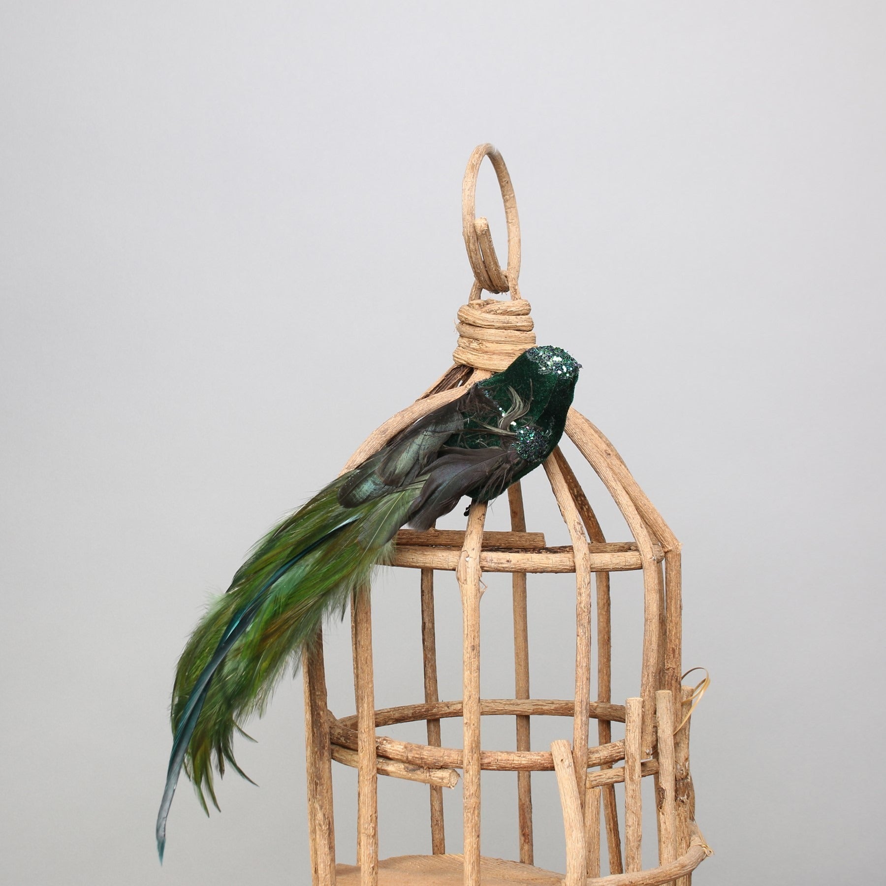 View Green Velvet Bird with clip information