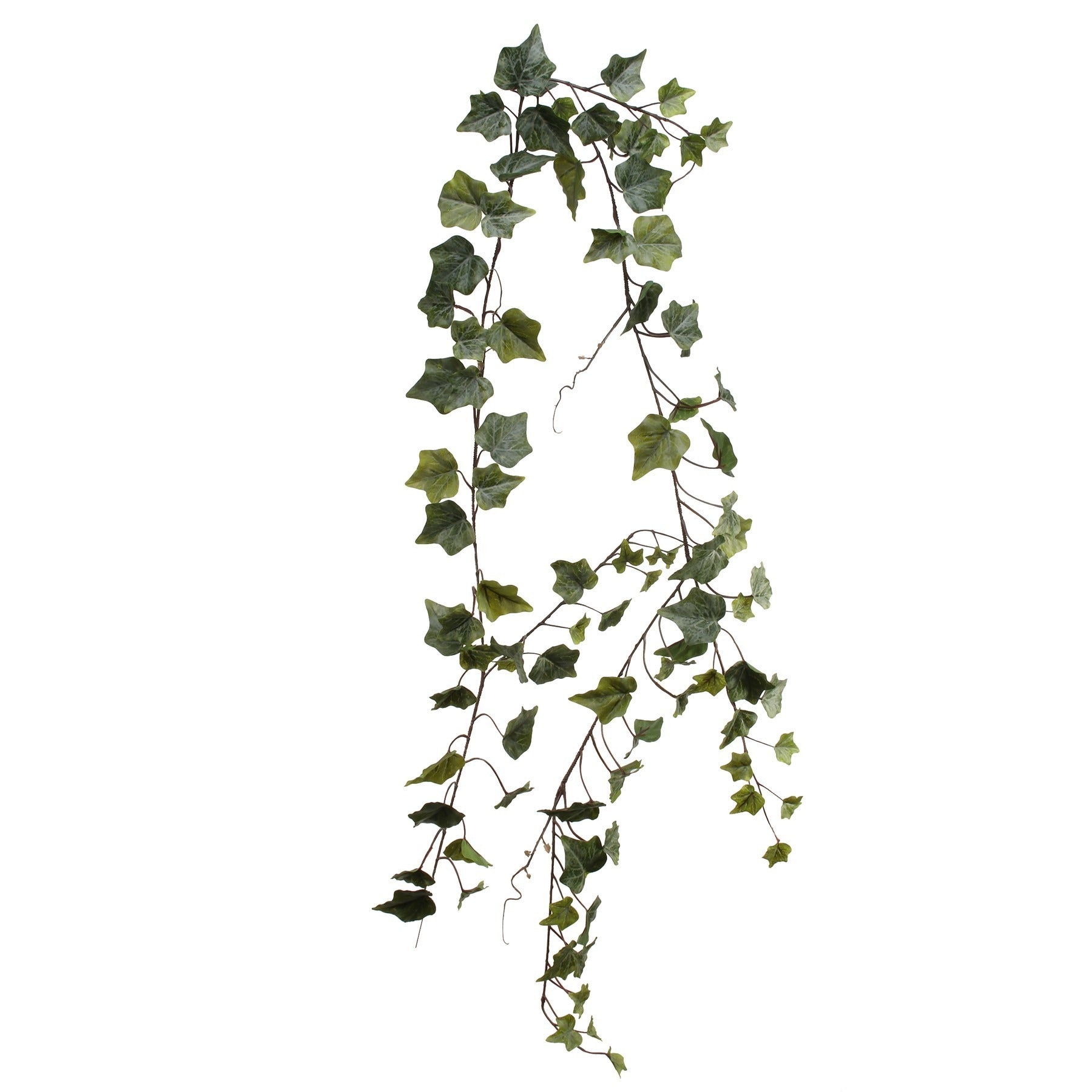 View Frosted Ivy Garland 180cm information