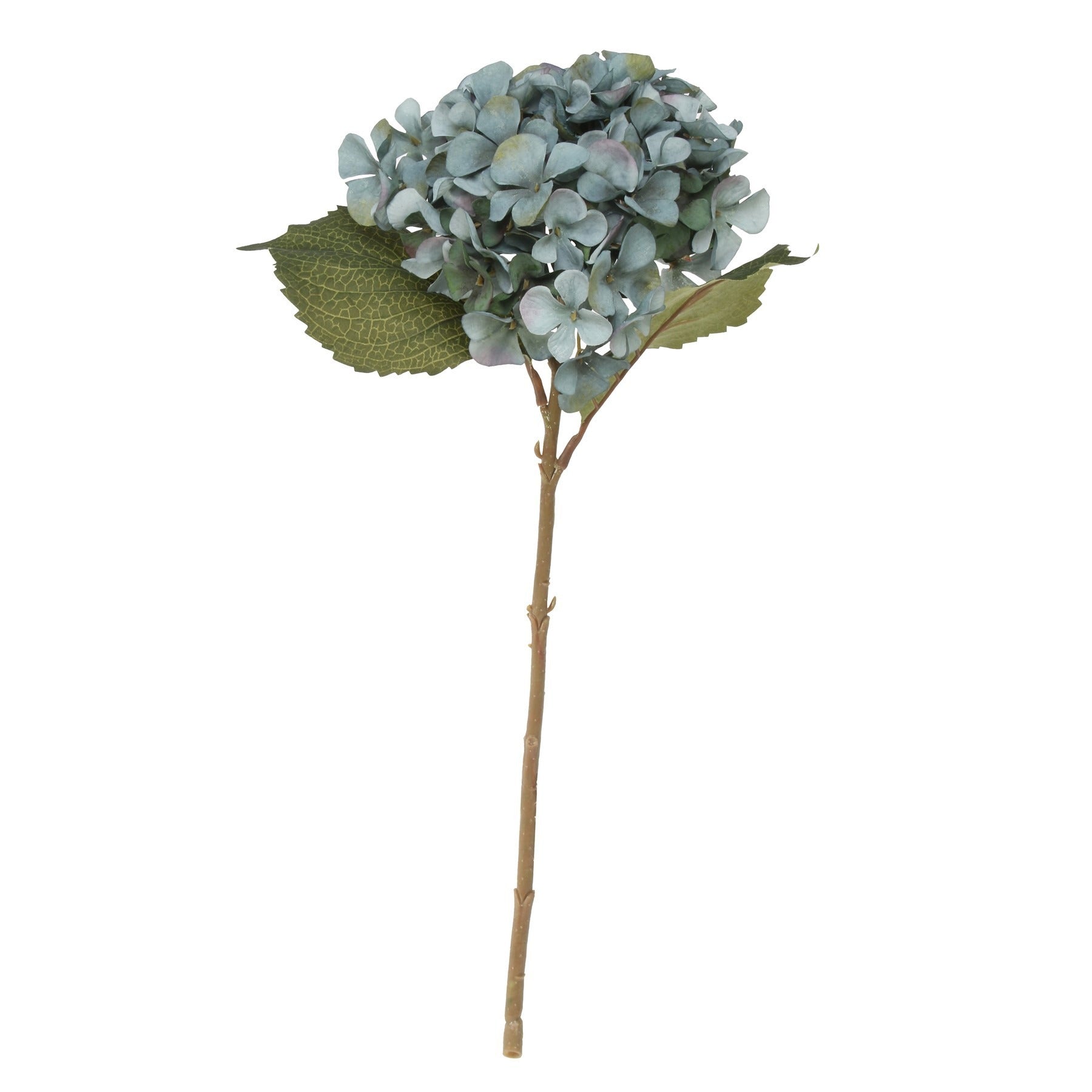 View Balmoral Blue Hydrangea 45cm information