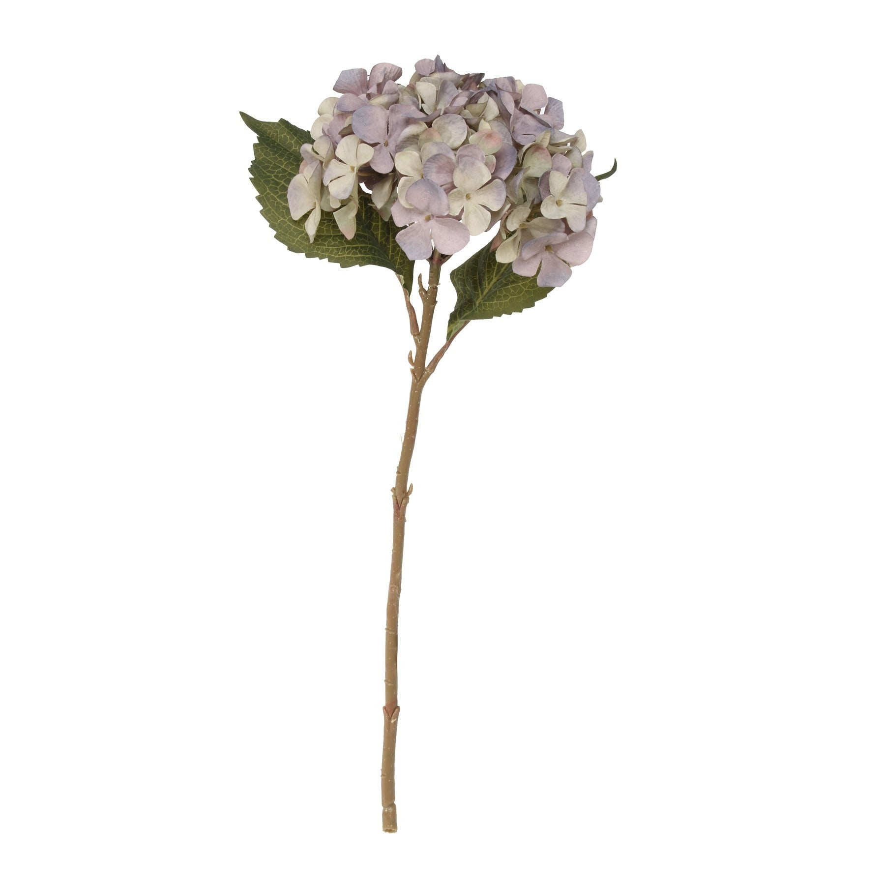 View Balmoral Light Blue Hydrangea 45cm information