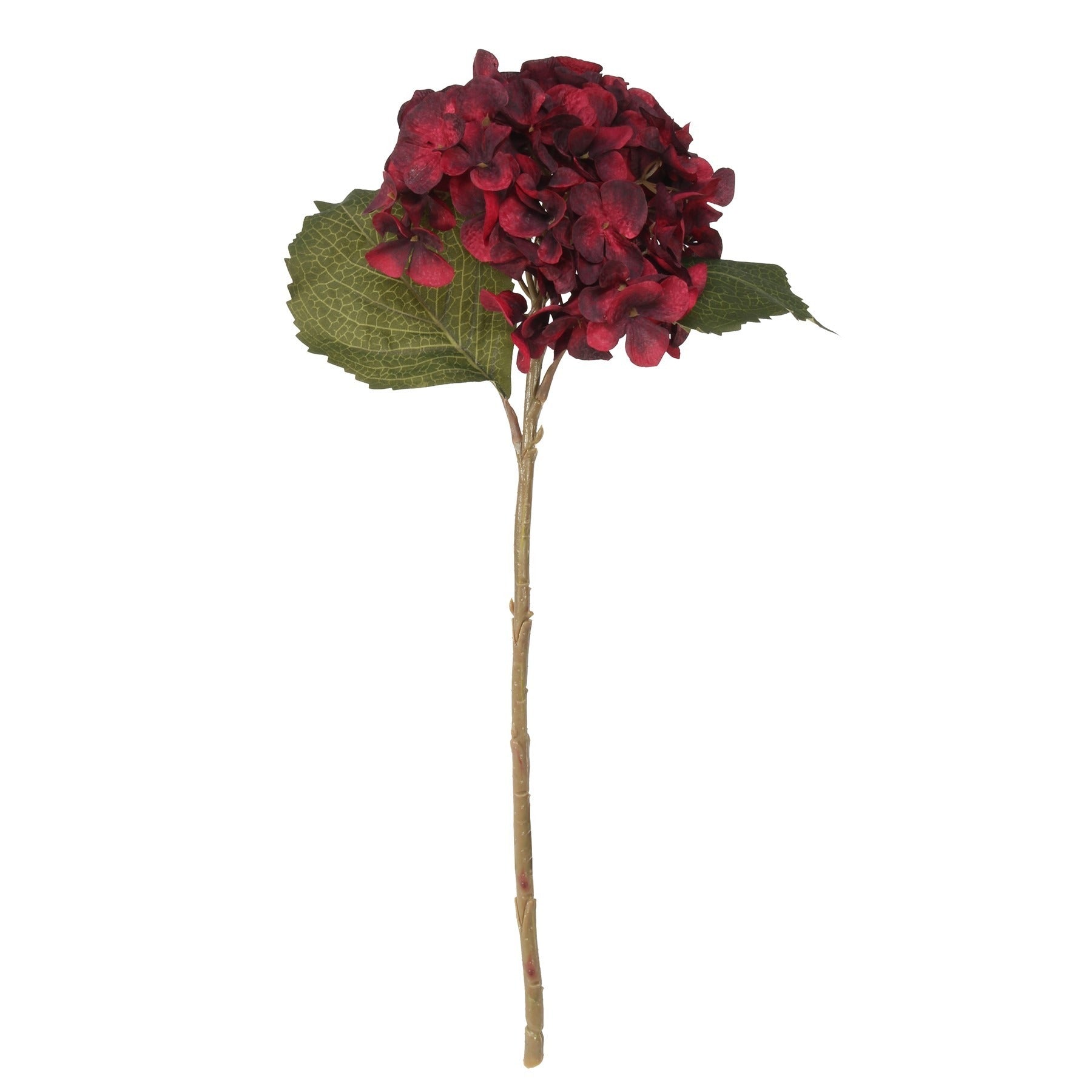 View Balmoral Hydrangea Burgundy 45cm information