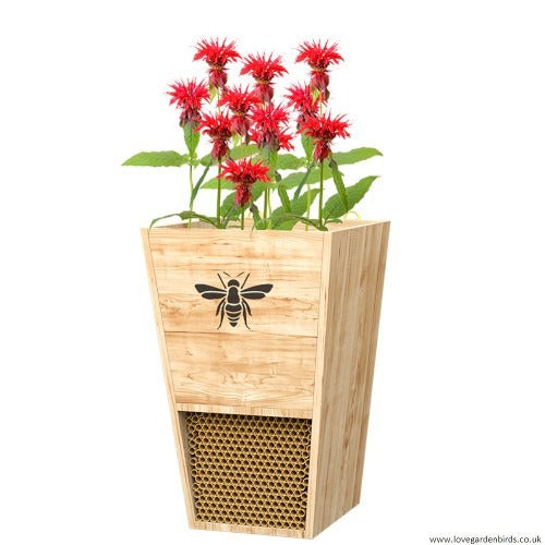 View Heavy Duty Cedar Mason Bee House Planter with Fabric Liner information