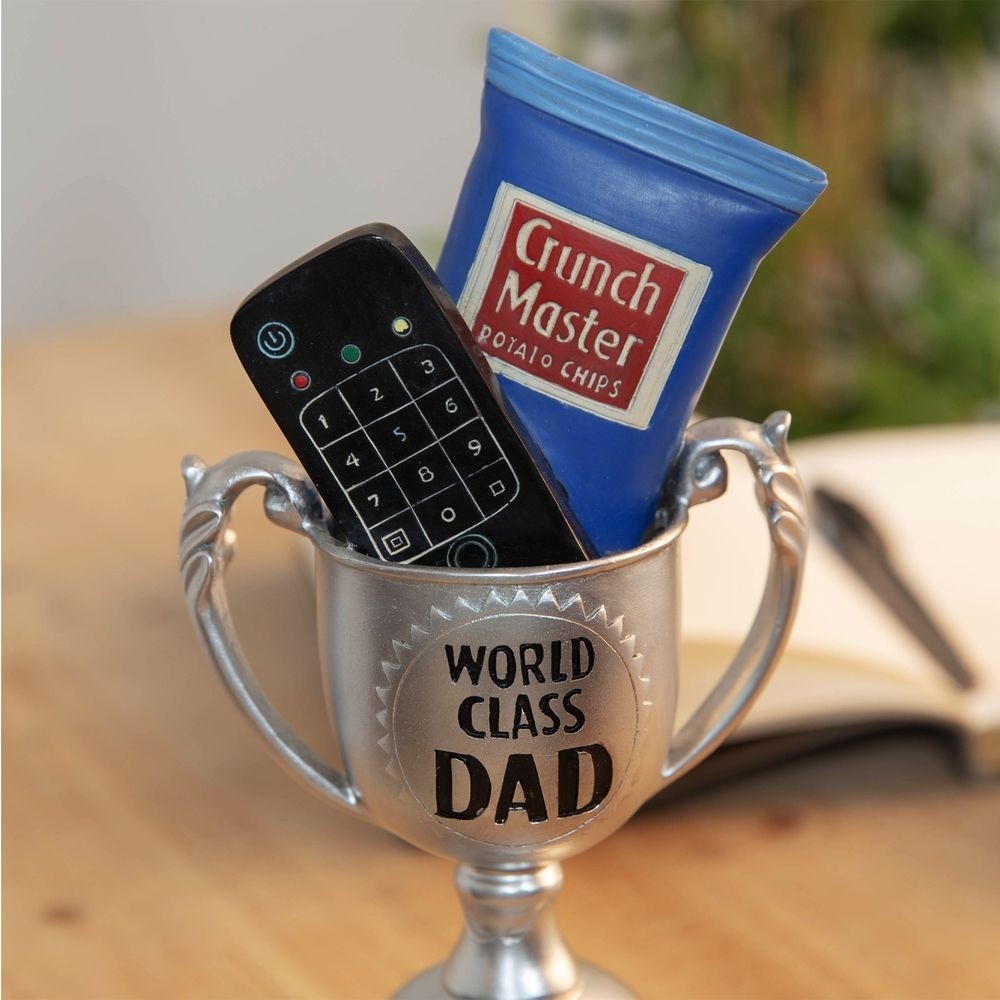 View World Class Dad Armchair Athlete Trophy information