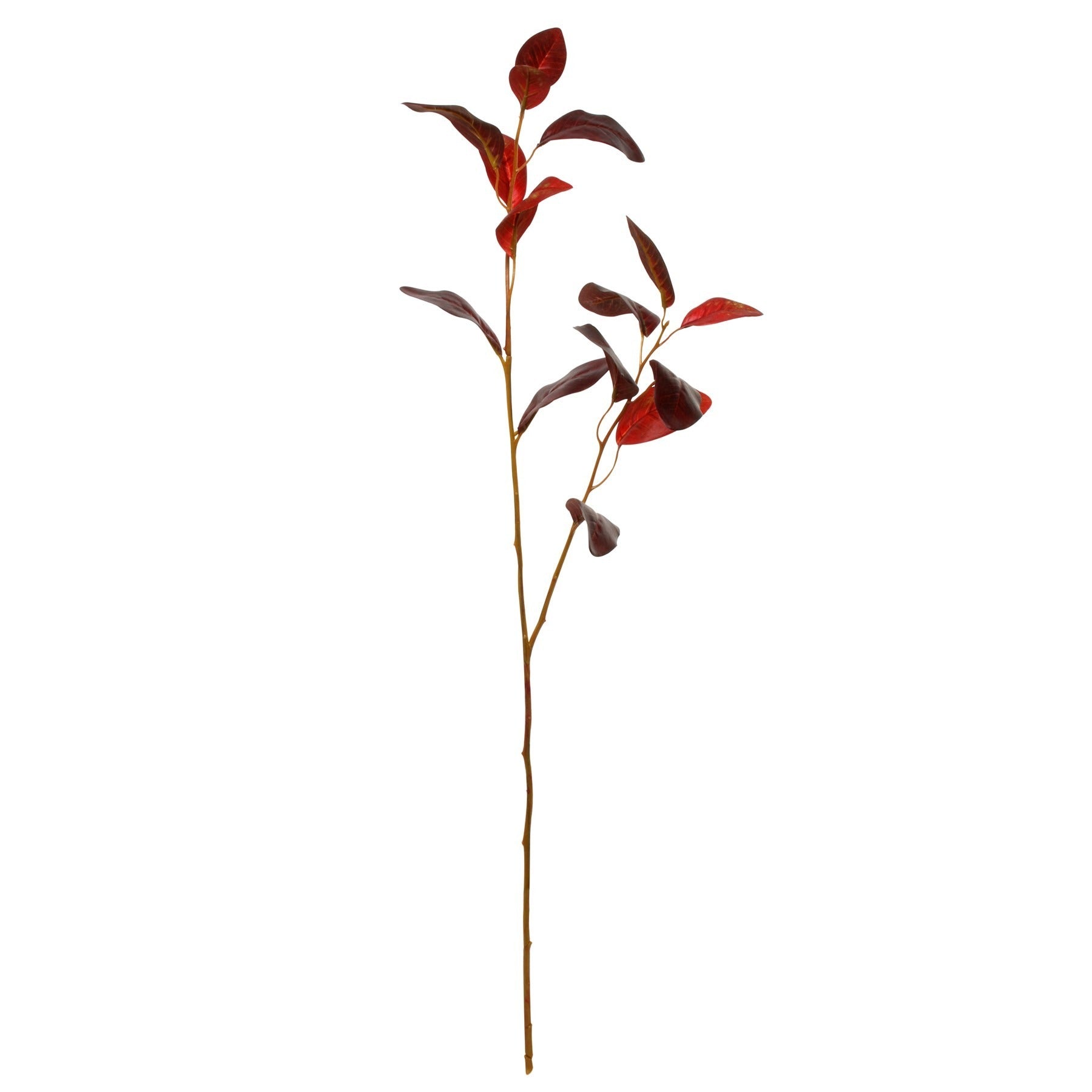 View Glamis Eucalyptus Leaves Chocolate Brown 76cm information