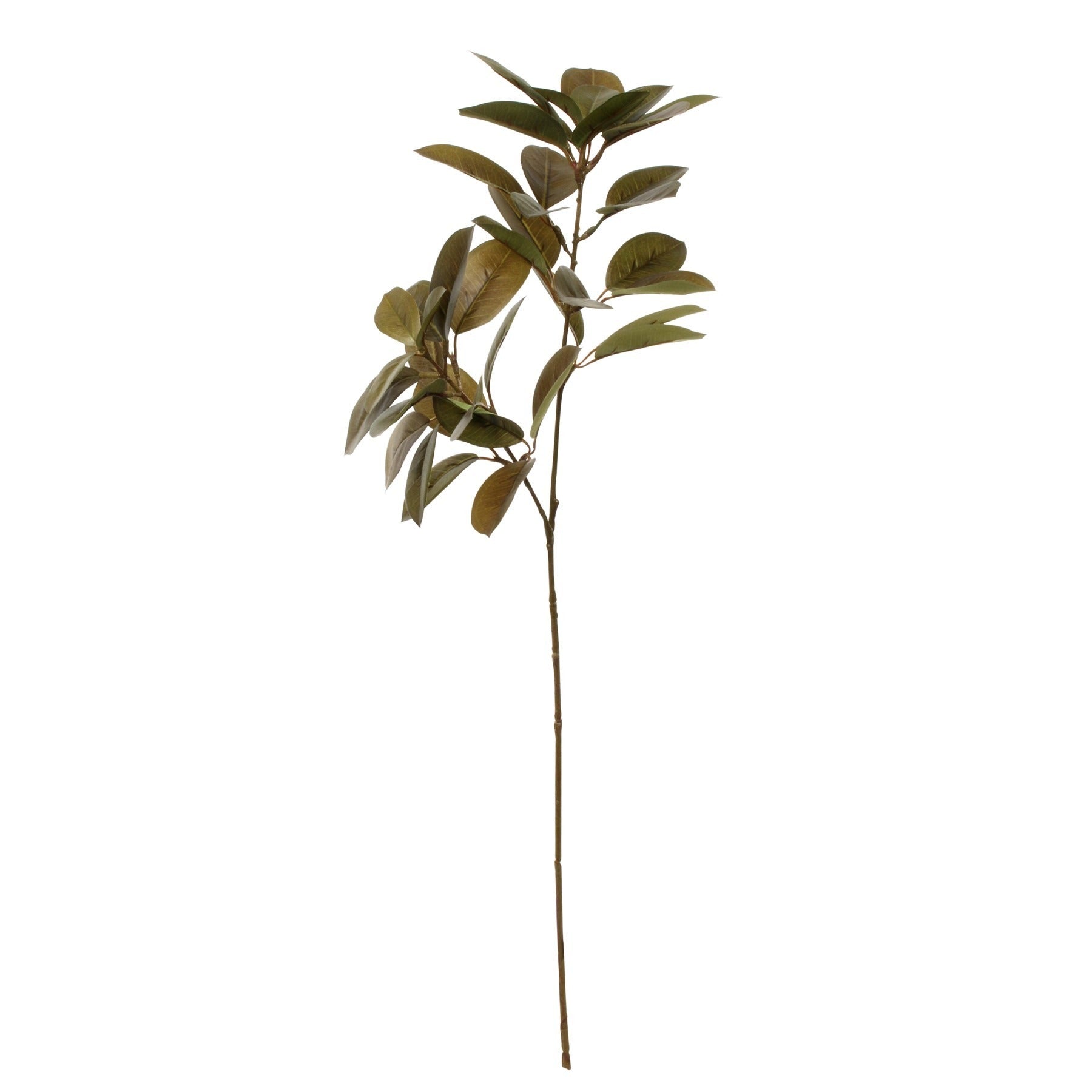 View Glamis Citrus Leaves Spray Green 75cm information