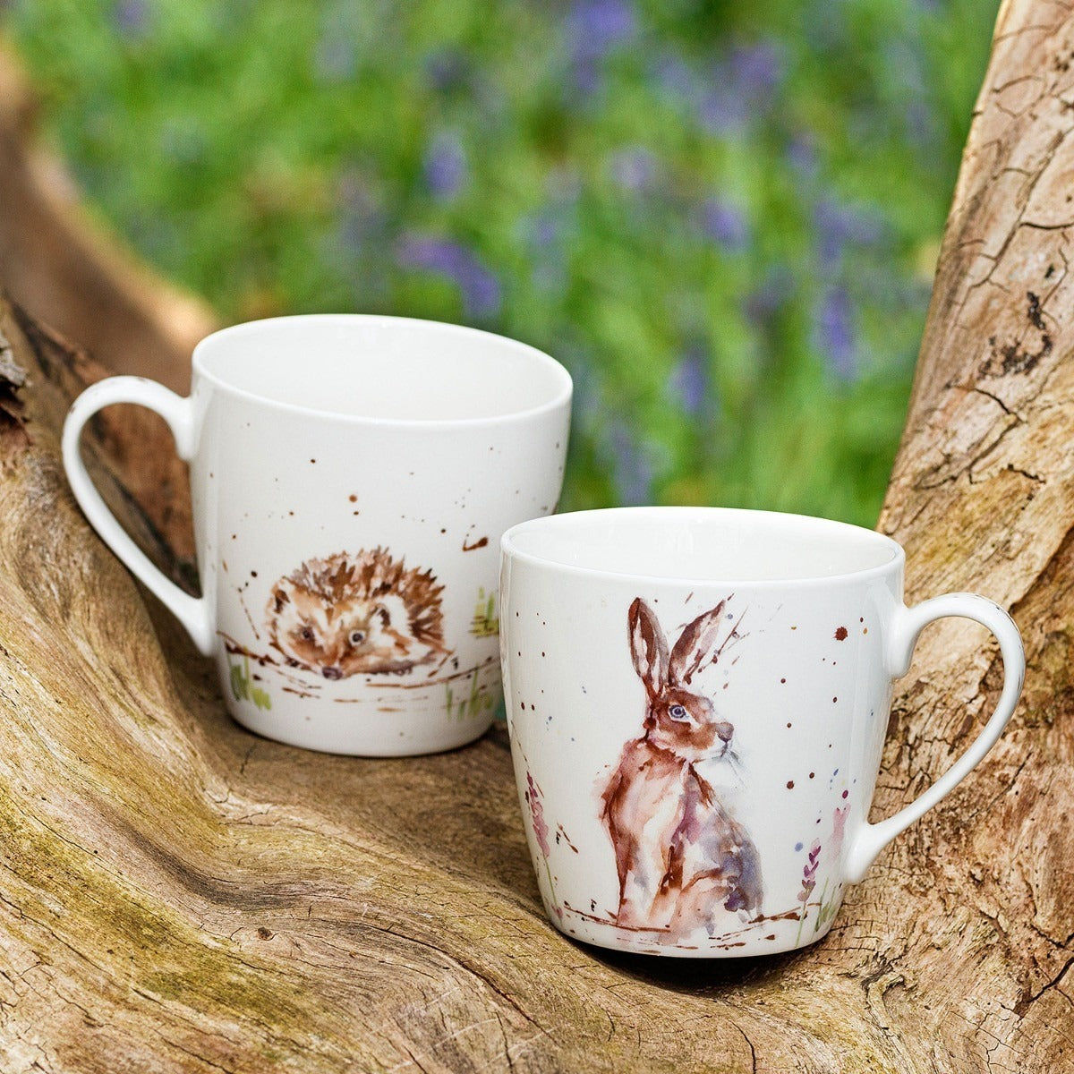 View Country Life Hedgehogs Mug information