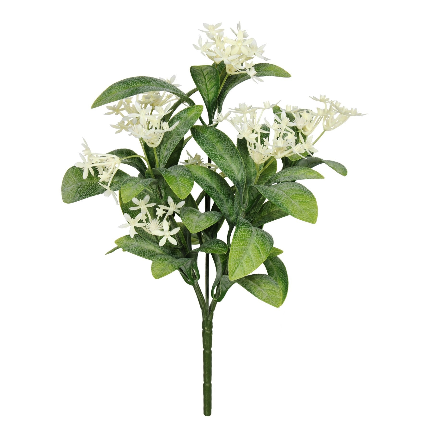 View UV Exterior Everlast Star Flower Plant 25cm information