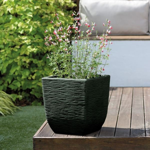 View Stewart 38cm Cotswold Planter Light Sand information