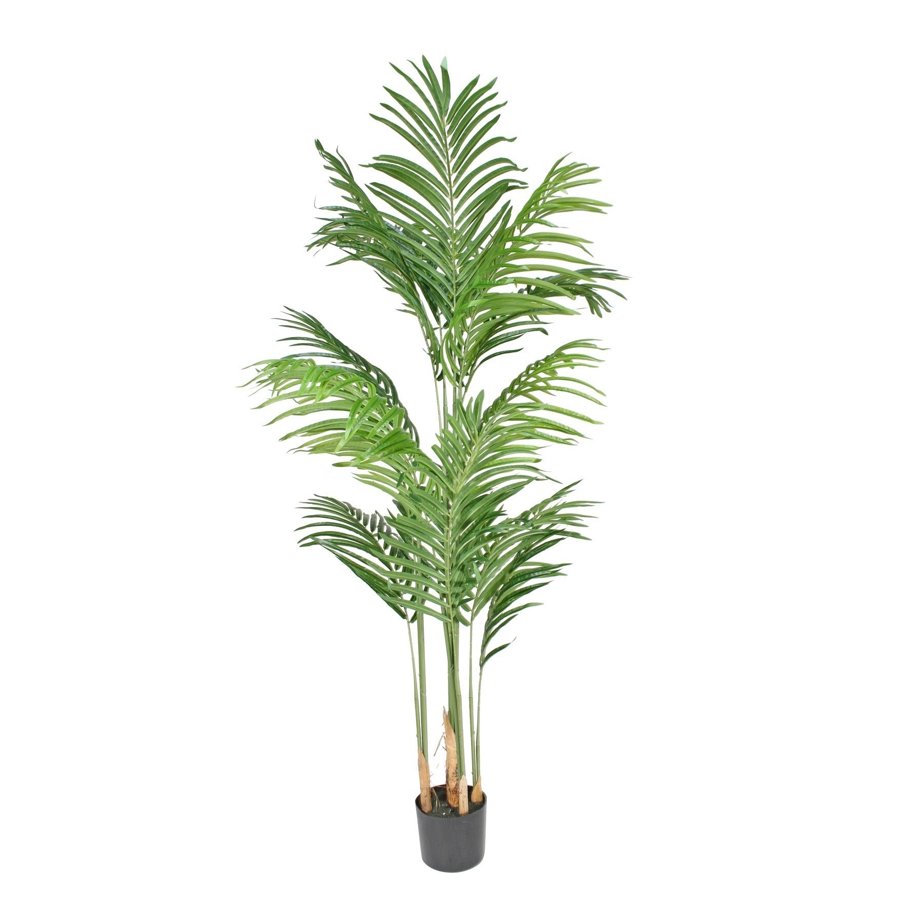 View Artificial Kentia Palm in Pot 140cm information