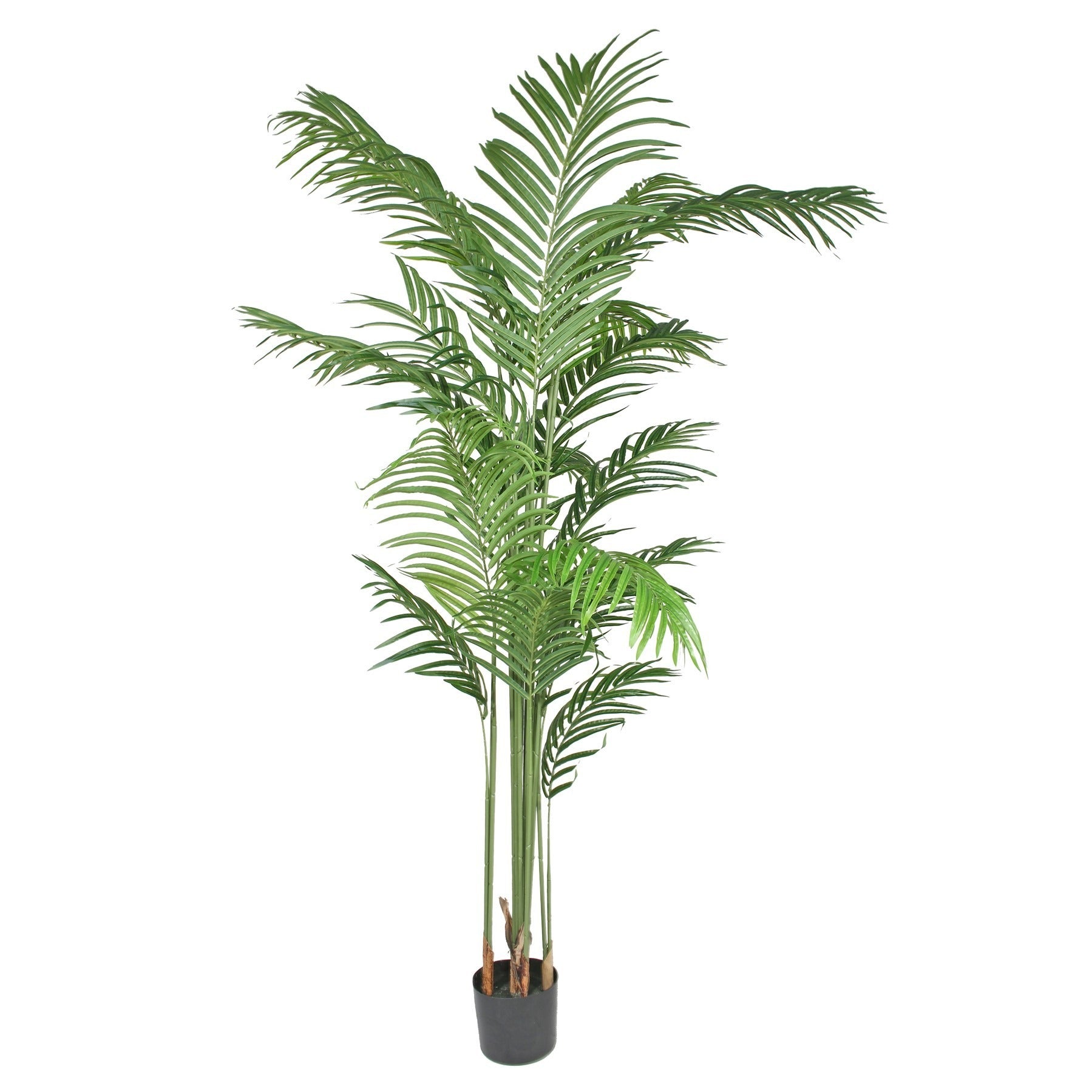 View Artificial Kentia Palm in Pot 180cm information