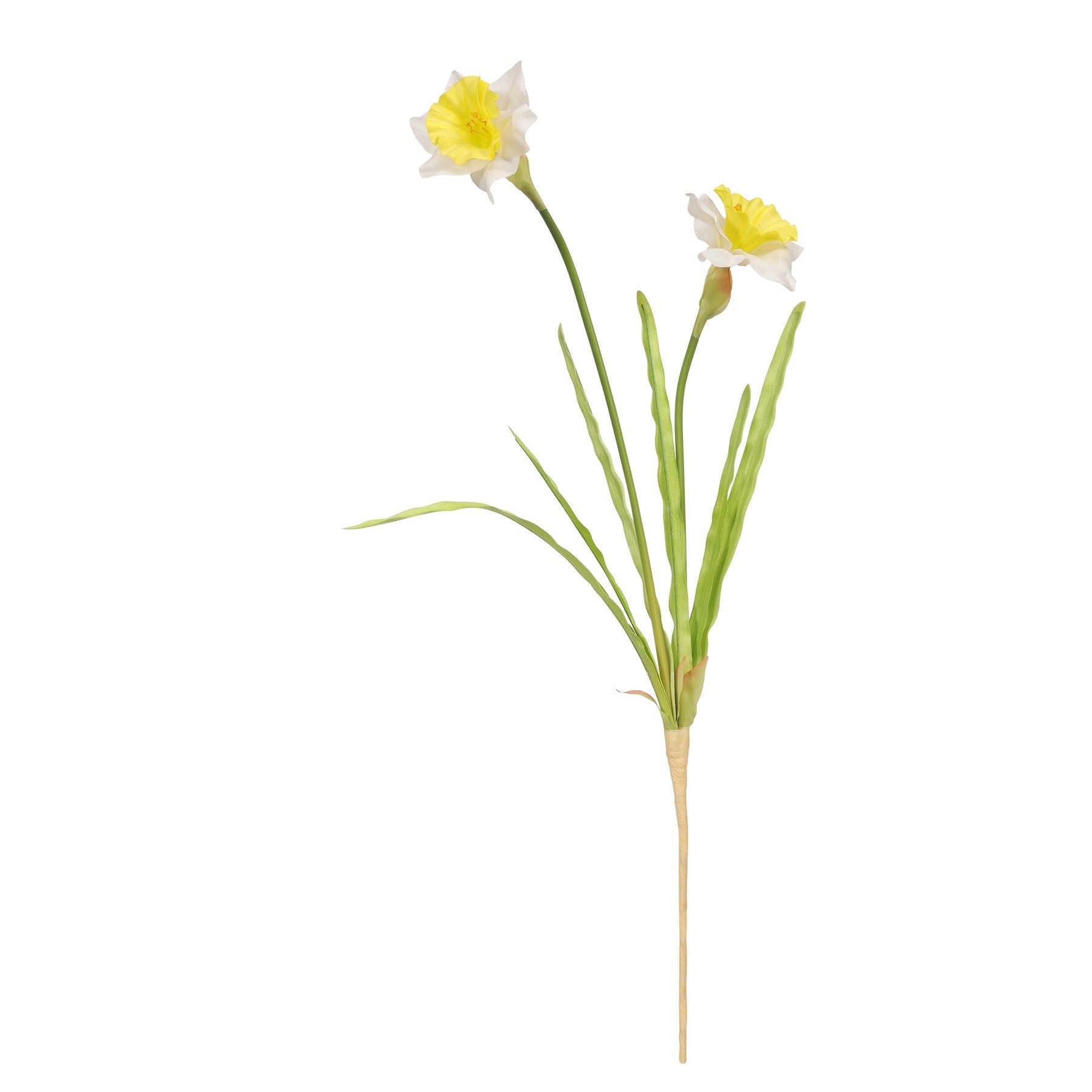 View Monet Daffodil YellowWhite 58cm information