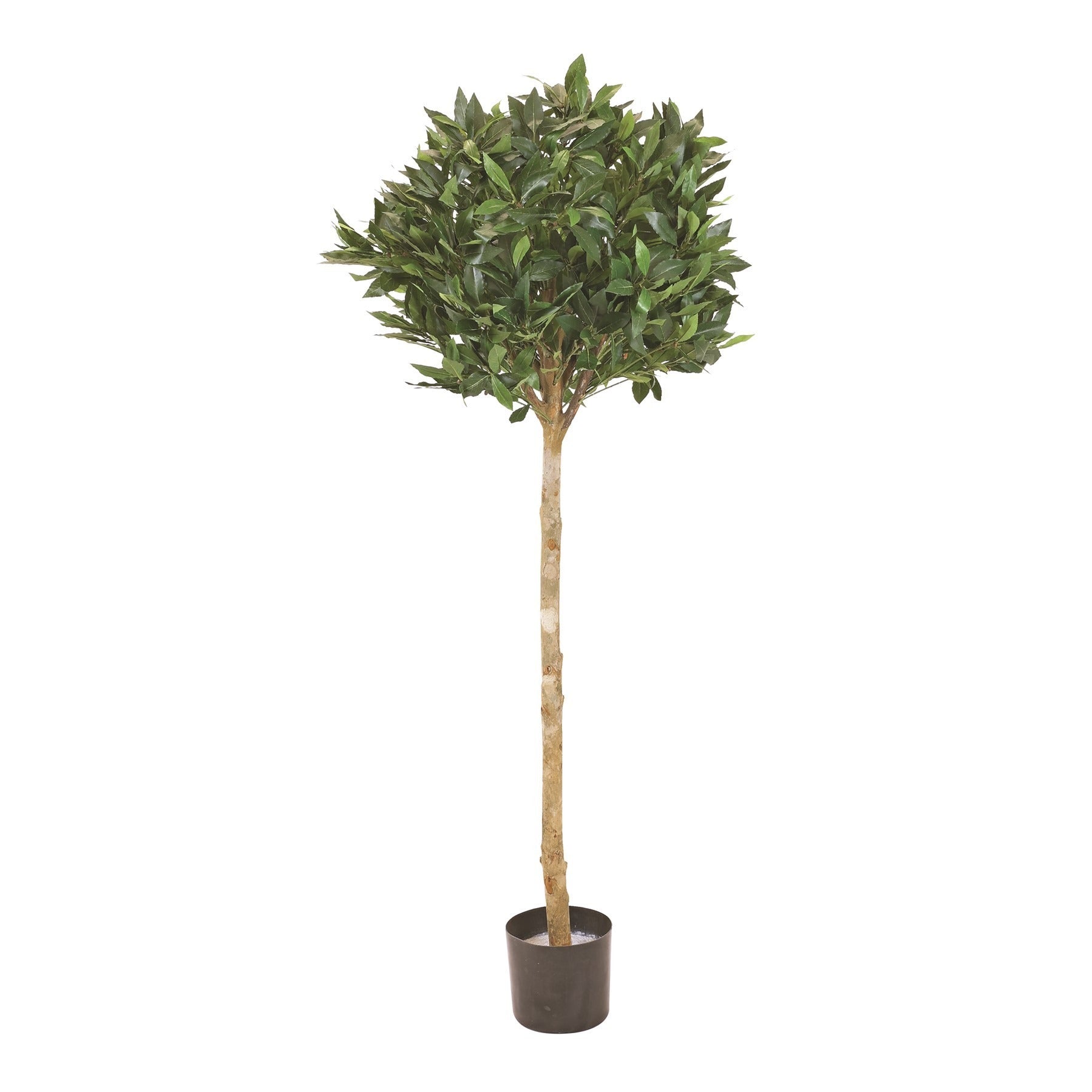 View Artificial Green Sweet Bay Ball Tree 4ft information