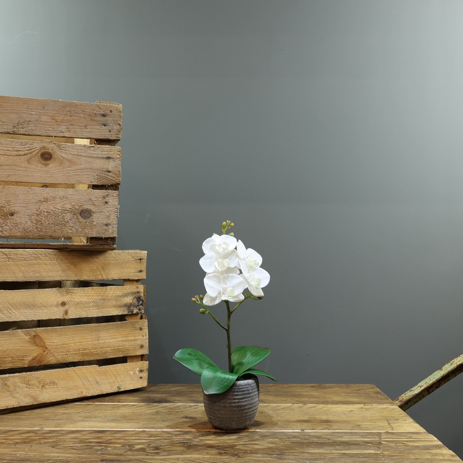 View Artificial White Phalaenopsis in Planter 35cm Medium 1 Stem information
