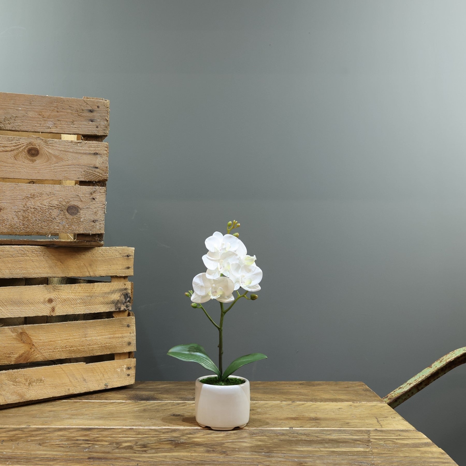 View Artificial White Phalaenopsis in Planter 32cm Medium 1 Stem information