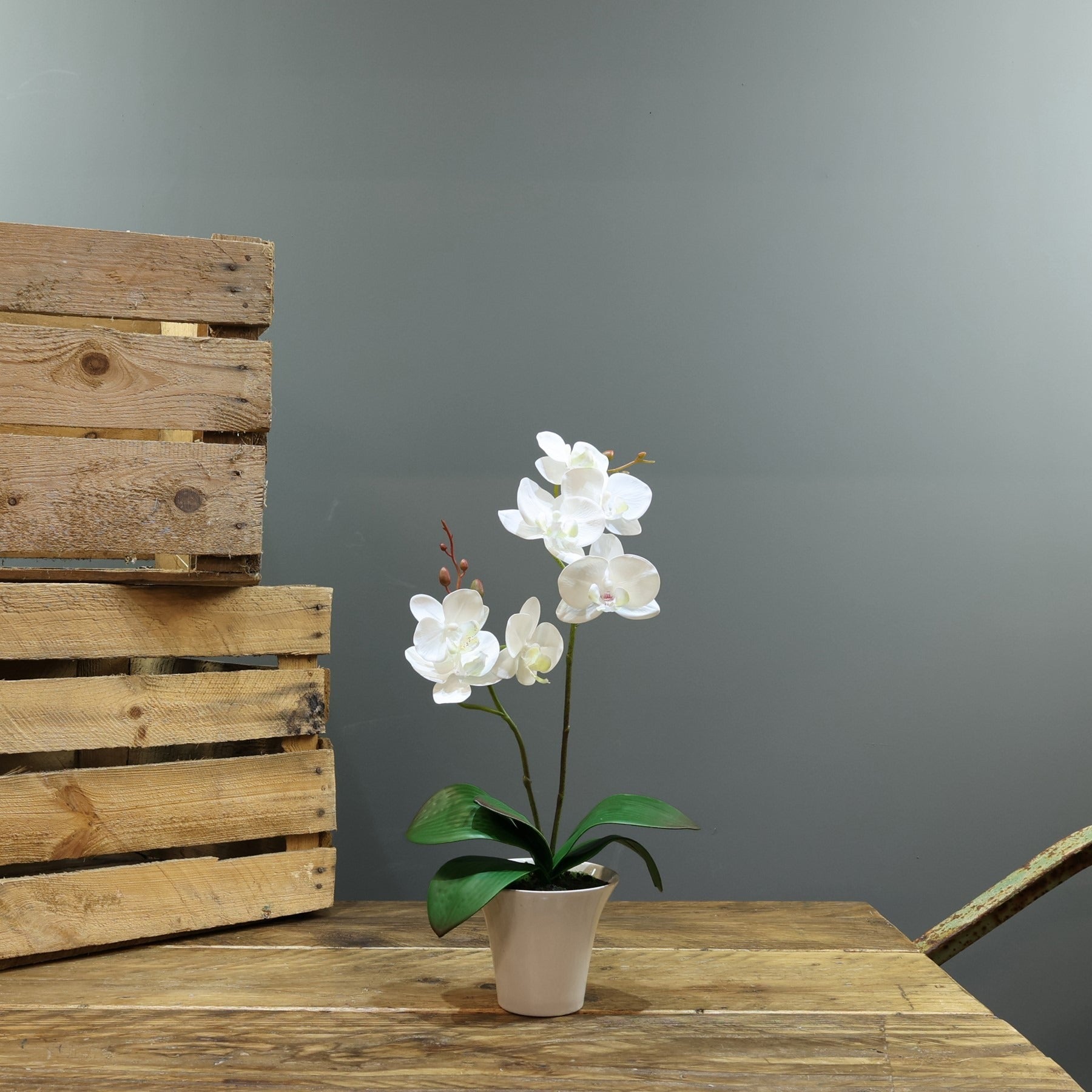 View Artificial White Aragon Phalaenopsis in Brown Planter 40cm Medium 2 Stems information