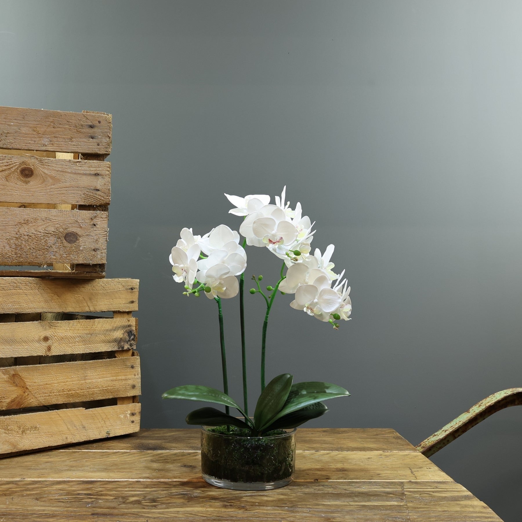 View Artificial White Aragon Phalaenopsis in Glass Planter Medium 3 Stems information