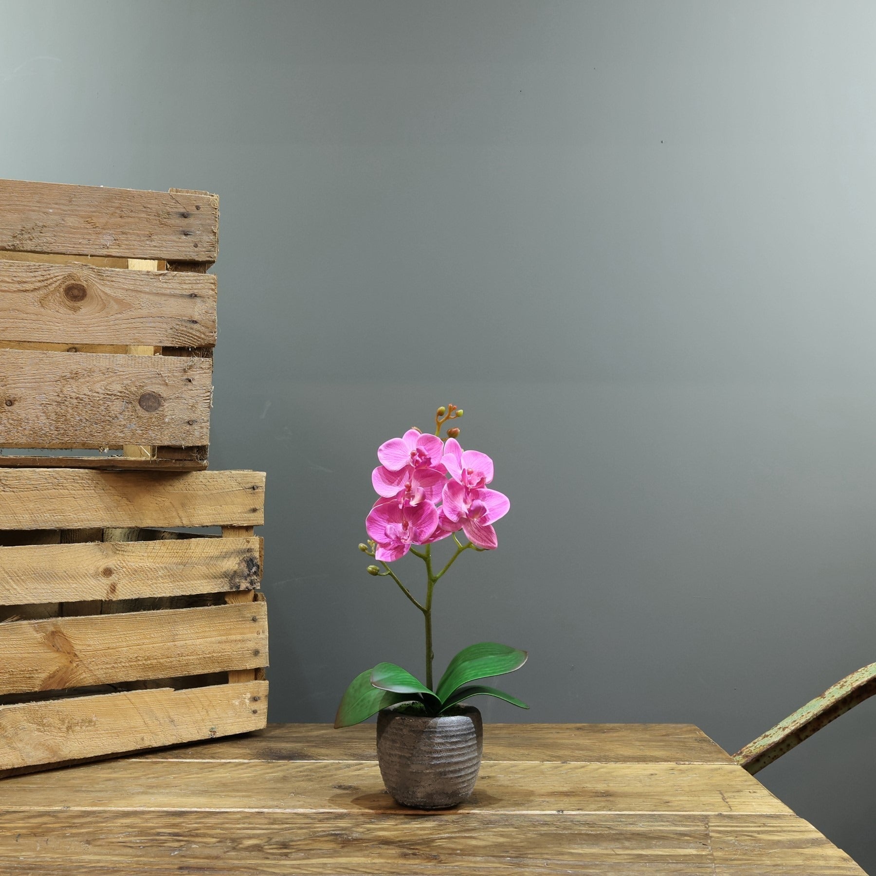 View Artificial Pink Aragon Phalaenopsis in a ceramic Planter Medium 1 Stem information