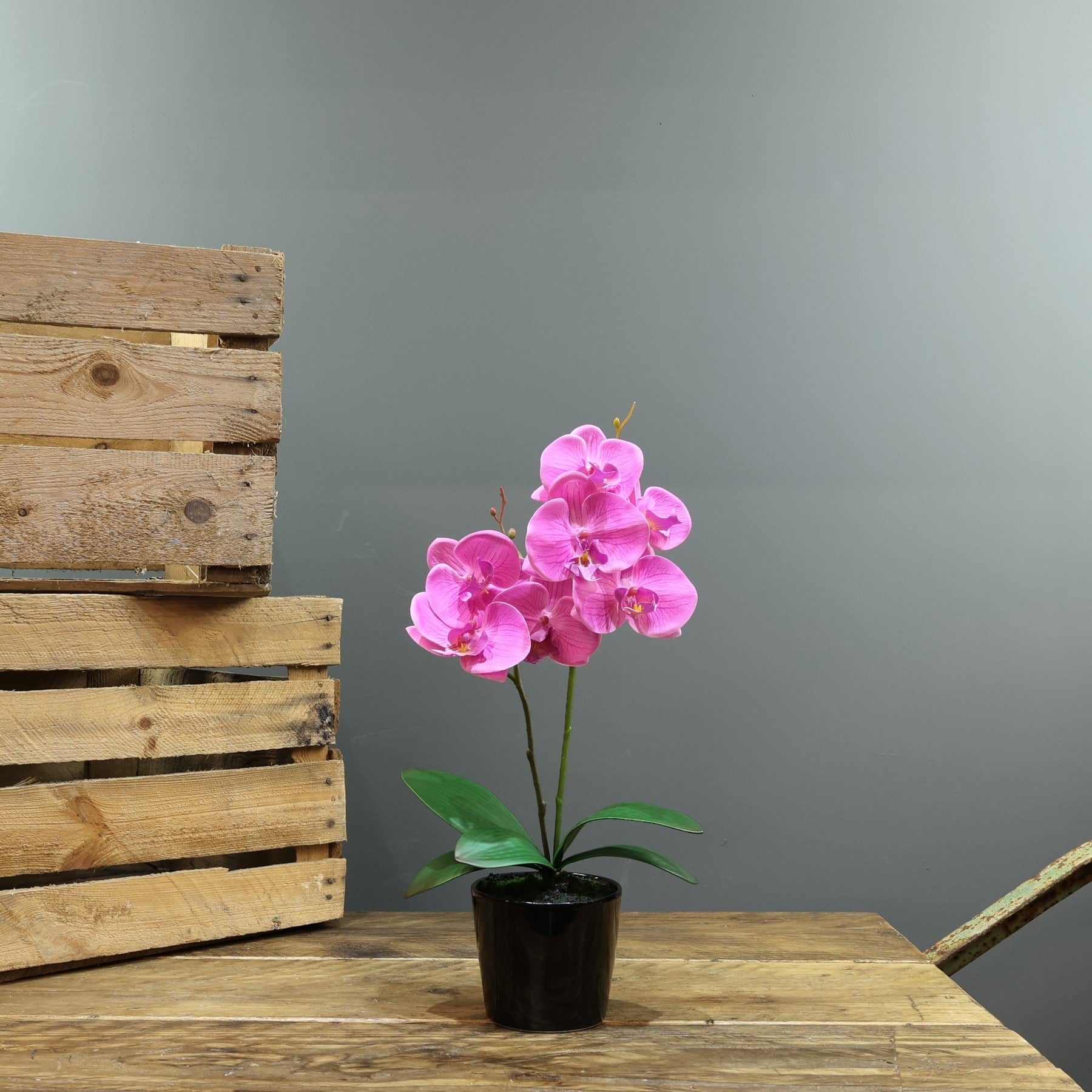 View Artificial Pink Aragon Phalaenopsis in a ceramic Planter Medium 2 Stems information