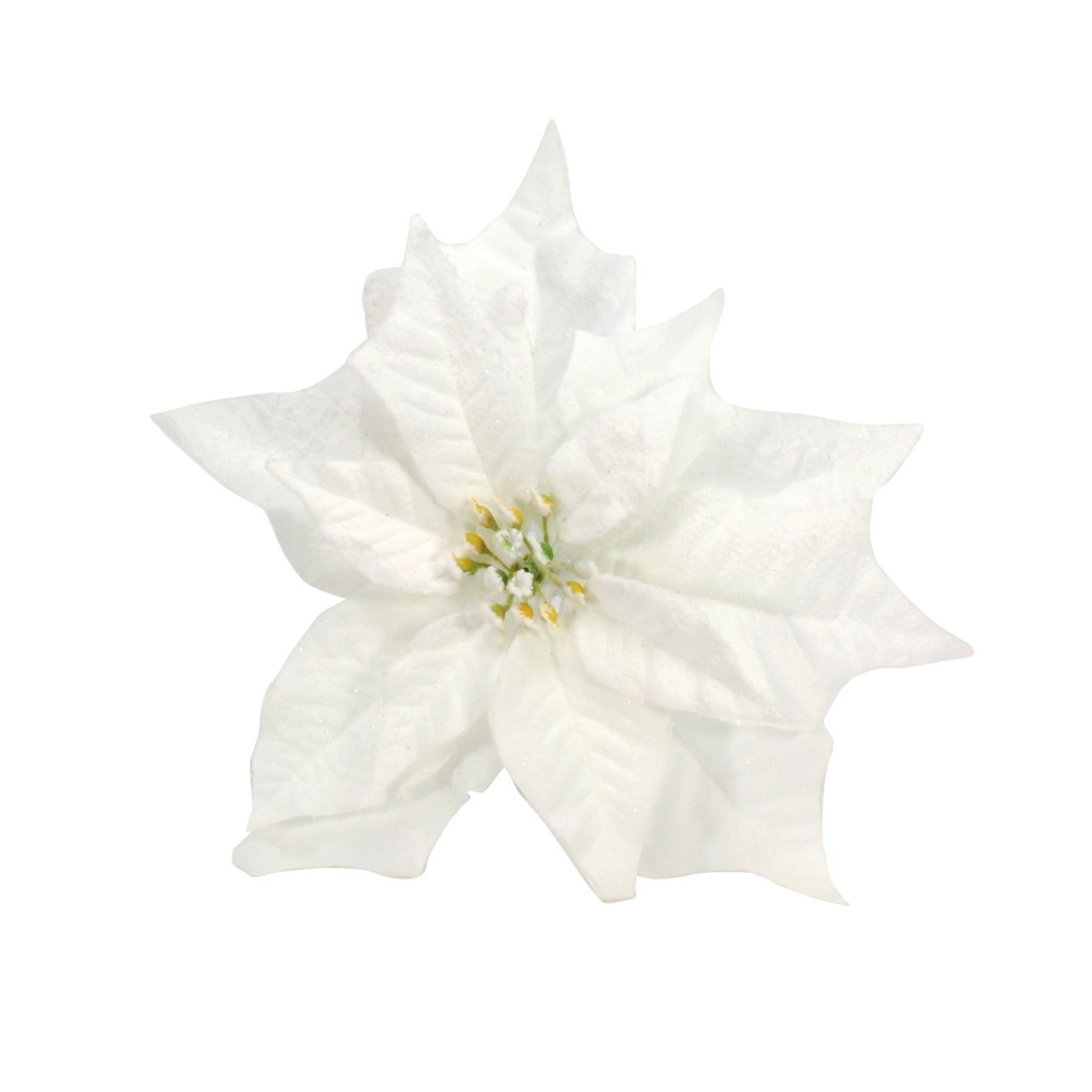 View Snowy White Poinsettia with Clip Dia25cm information