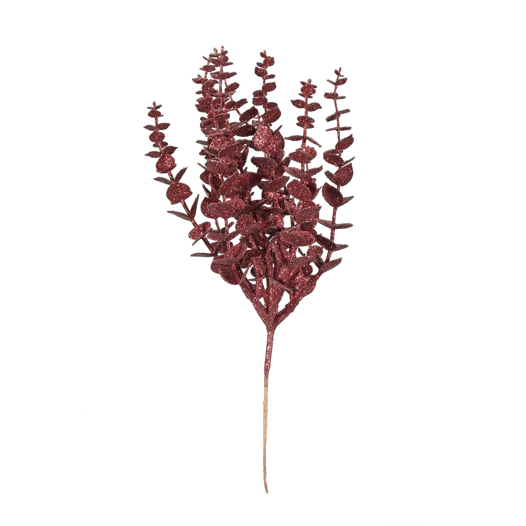 View Burgundy Glitter Eucalyptus Bush H33cm information