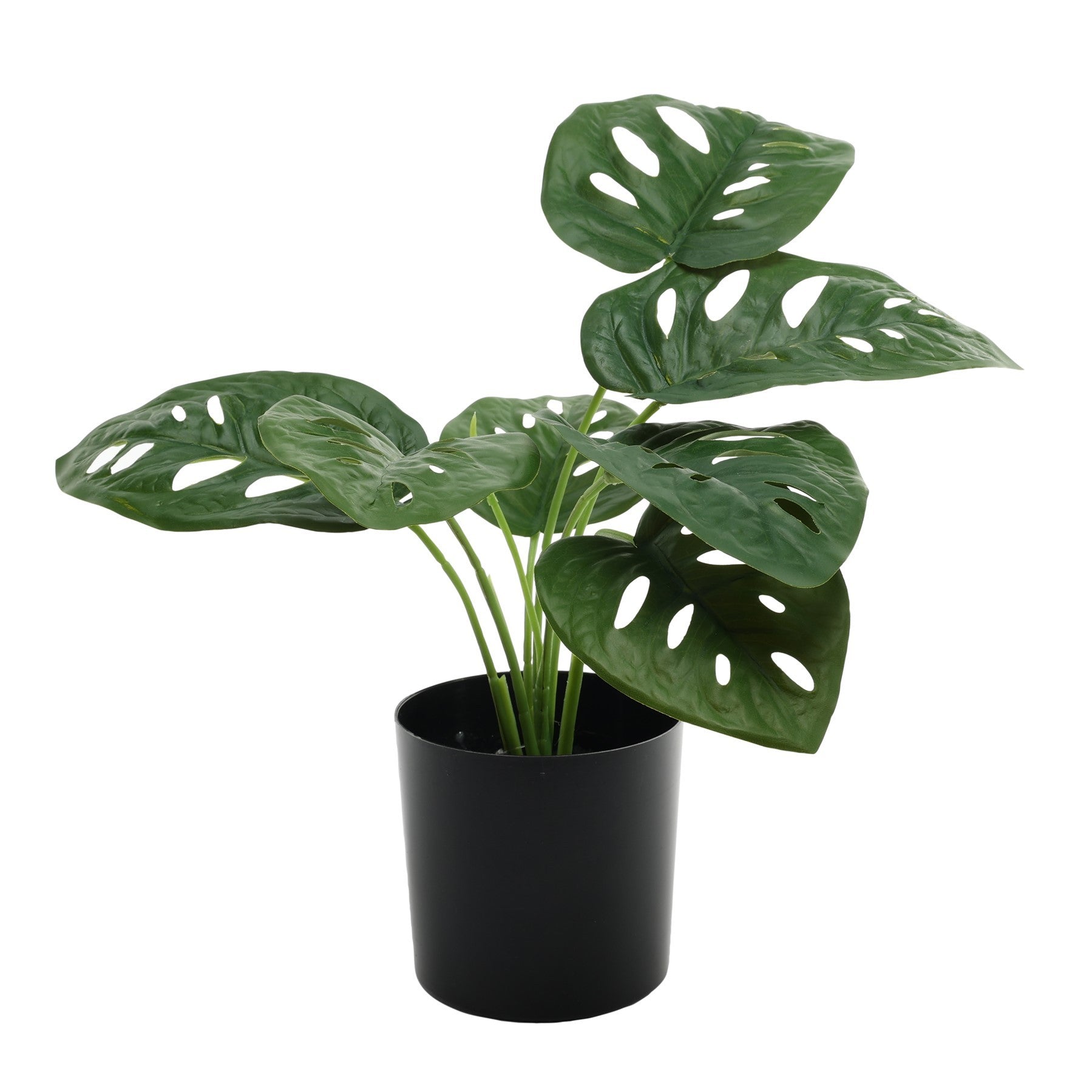 View Monstera Potted House Plant 40cm information