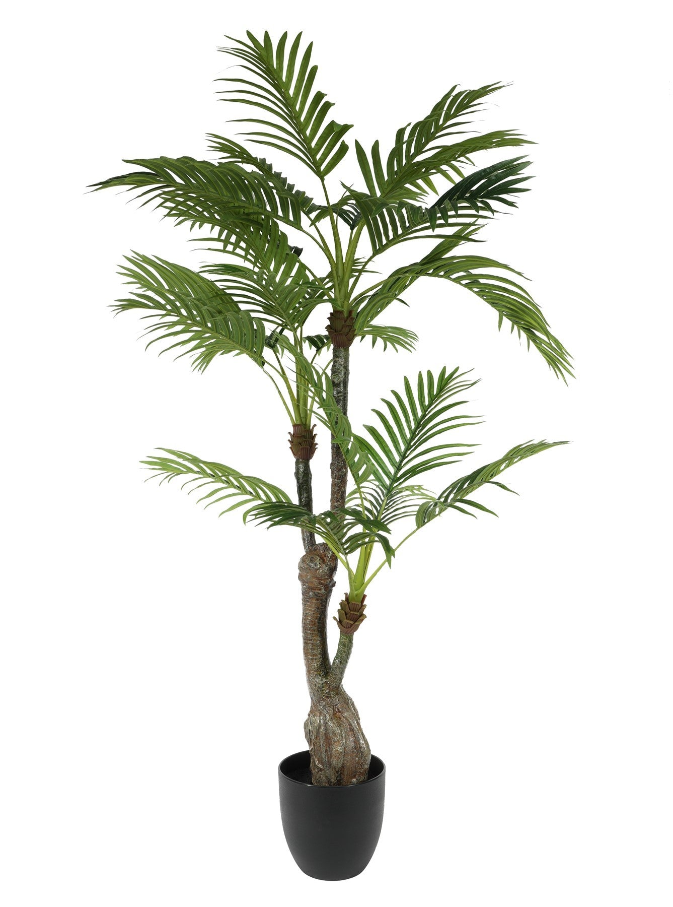 View Palm Potted House Plant 130cm information