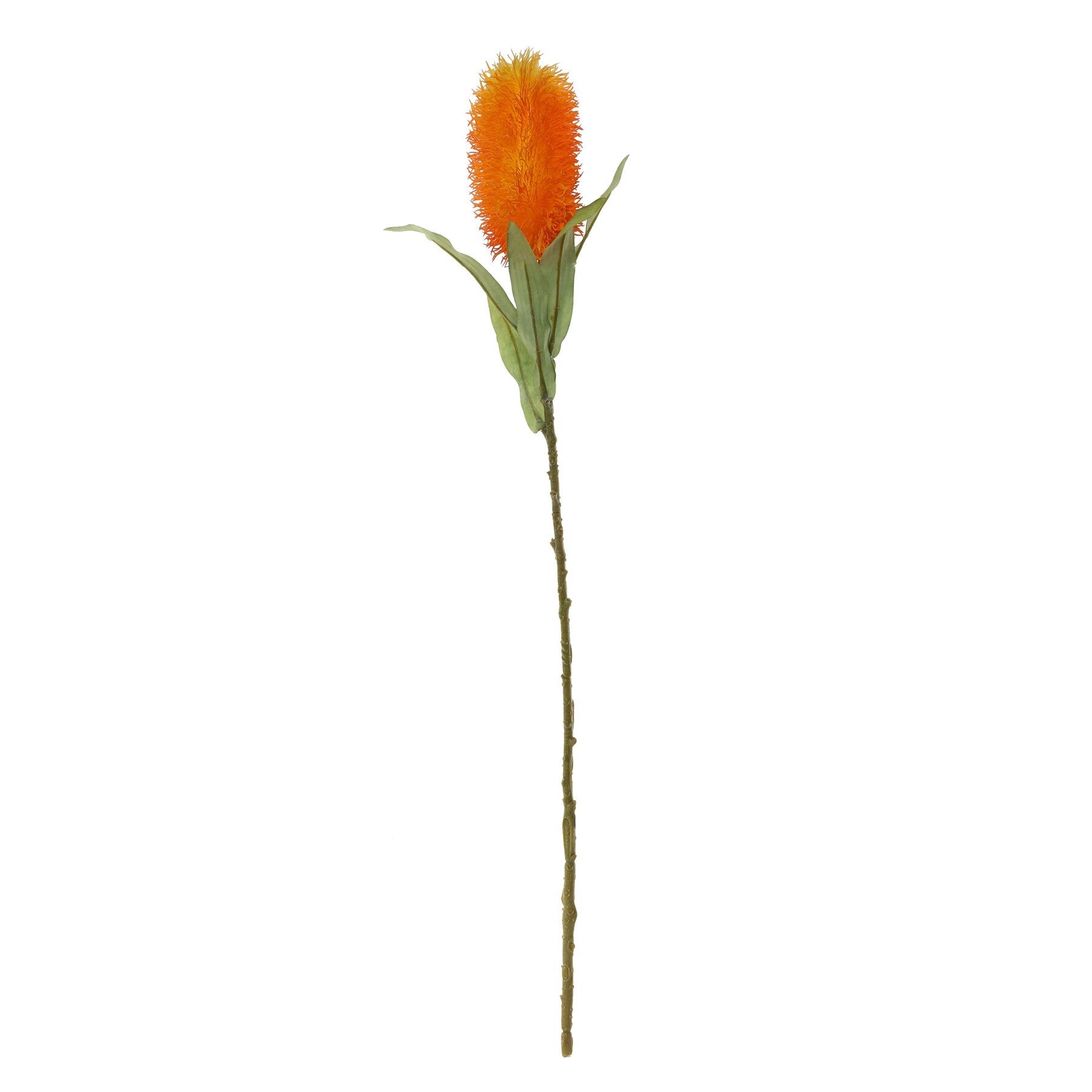 View Pagoda Flower Orange 65cm information