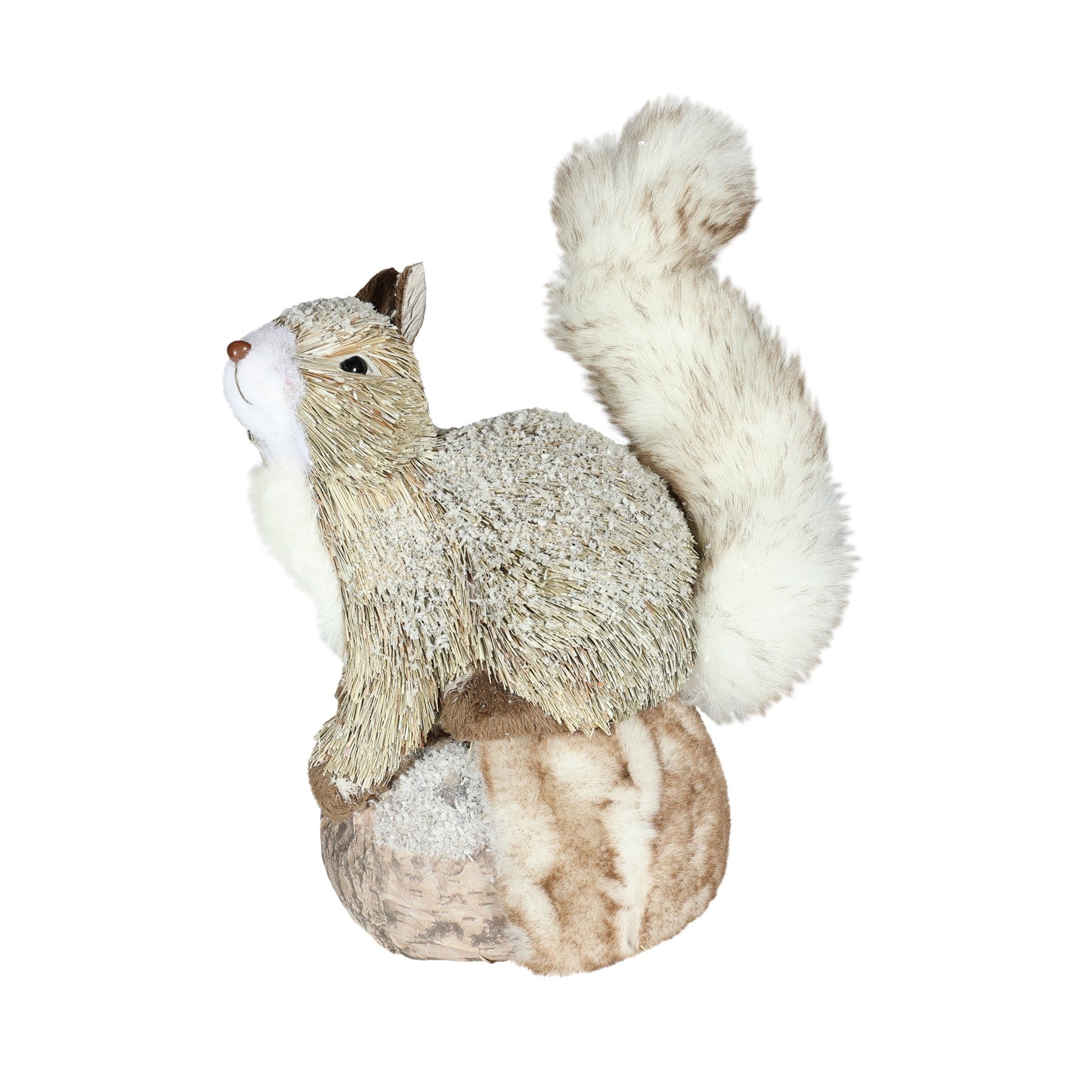 View Squirrel Sitting on an Acorn Decoration H24cm information