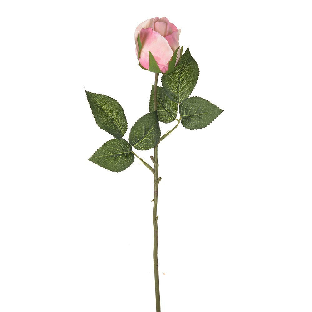 View Pink Rosebud 42cm information