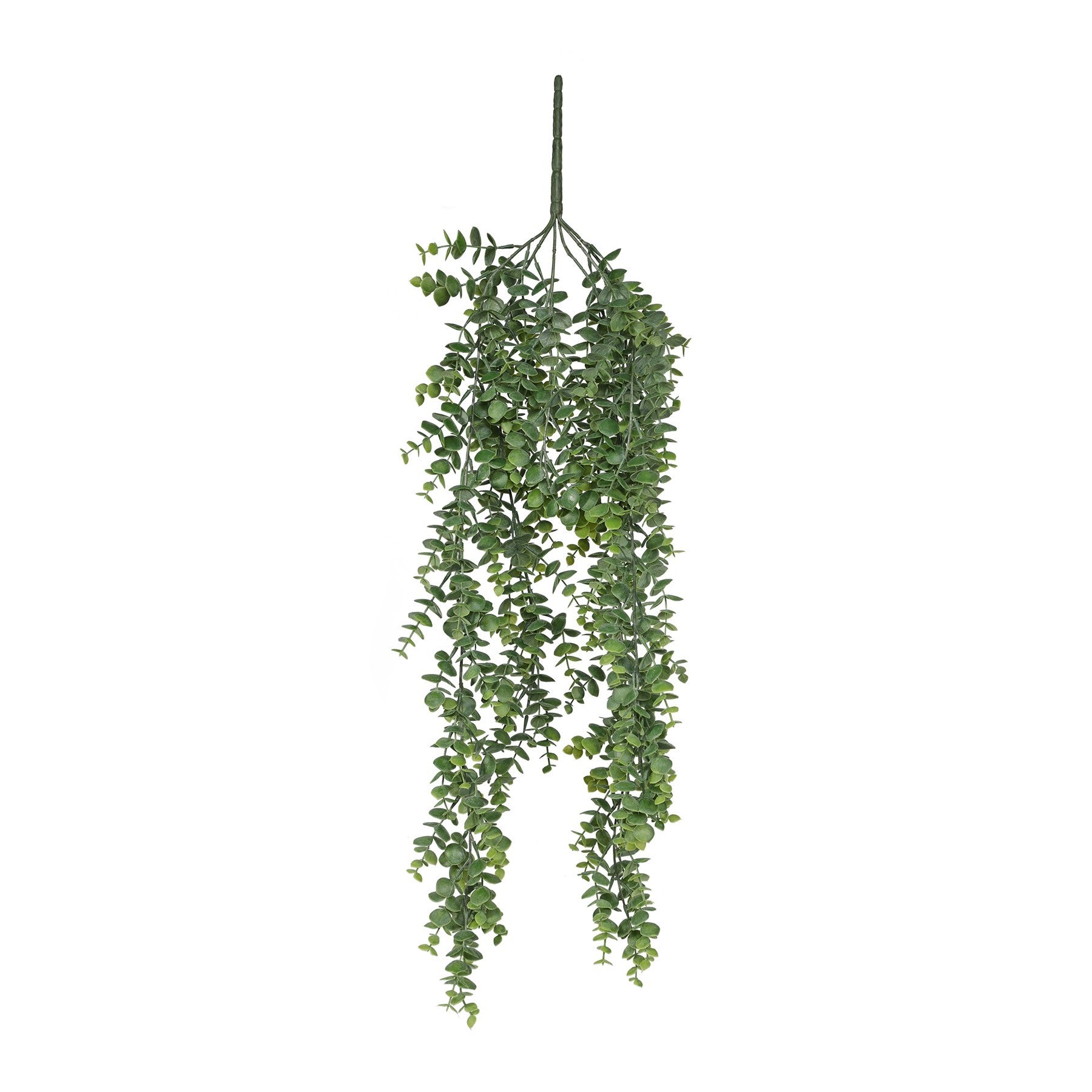 View Botanica Eucalyptus Hanging Bush 80cm information