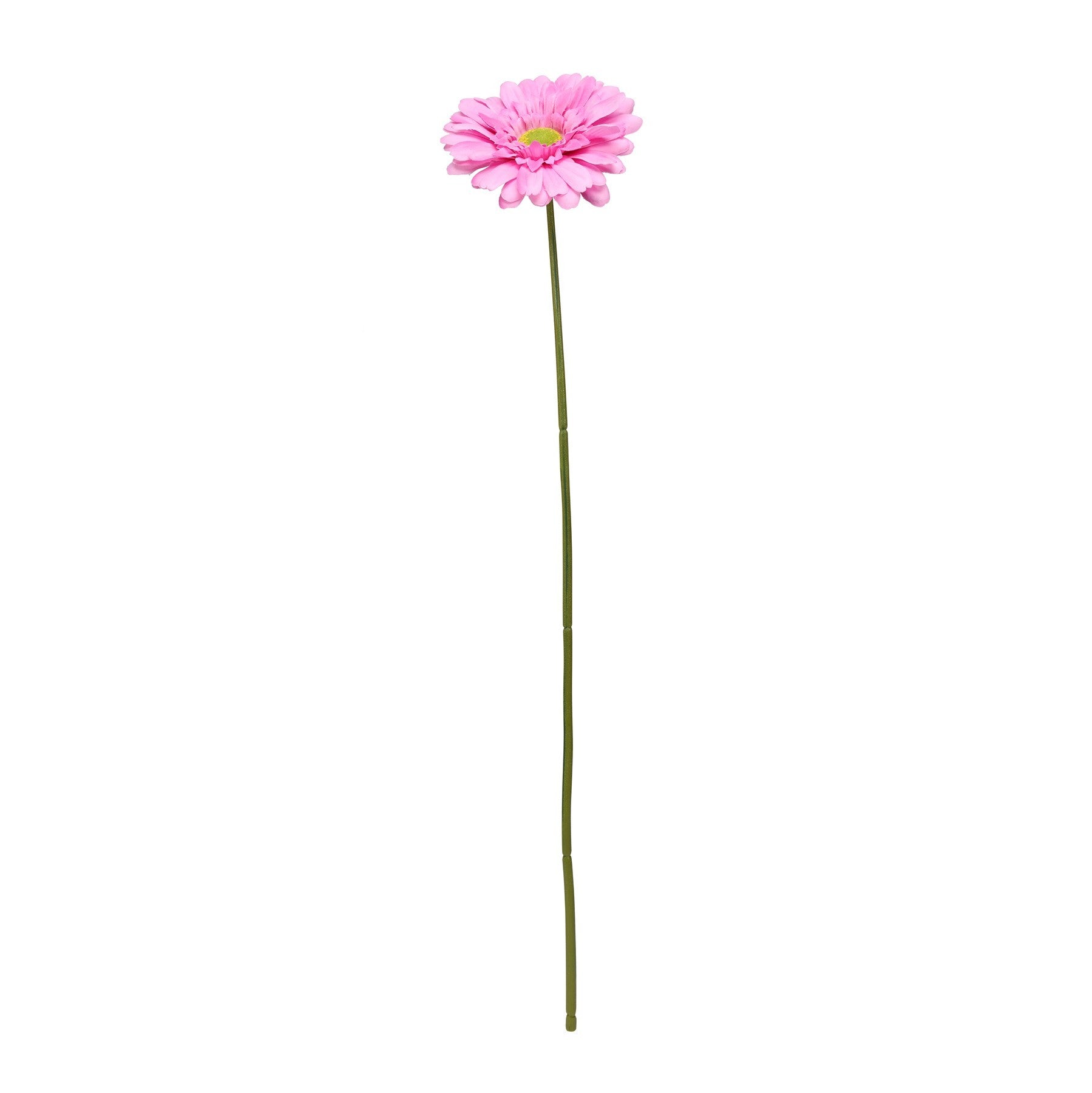 View Pink Gerbera Stem 72cm information