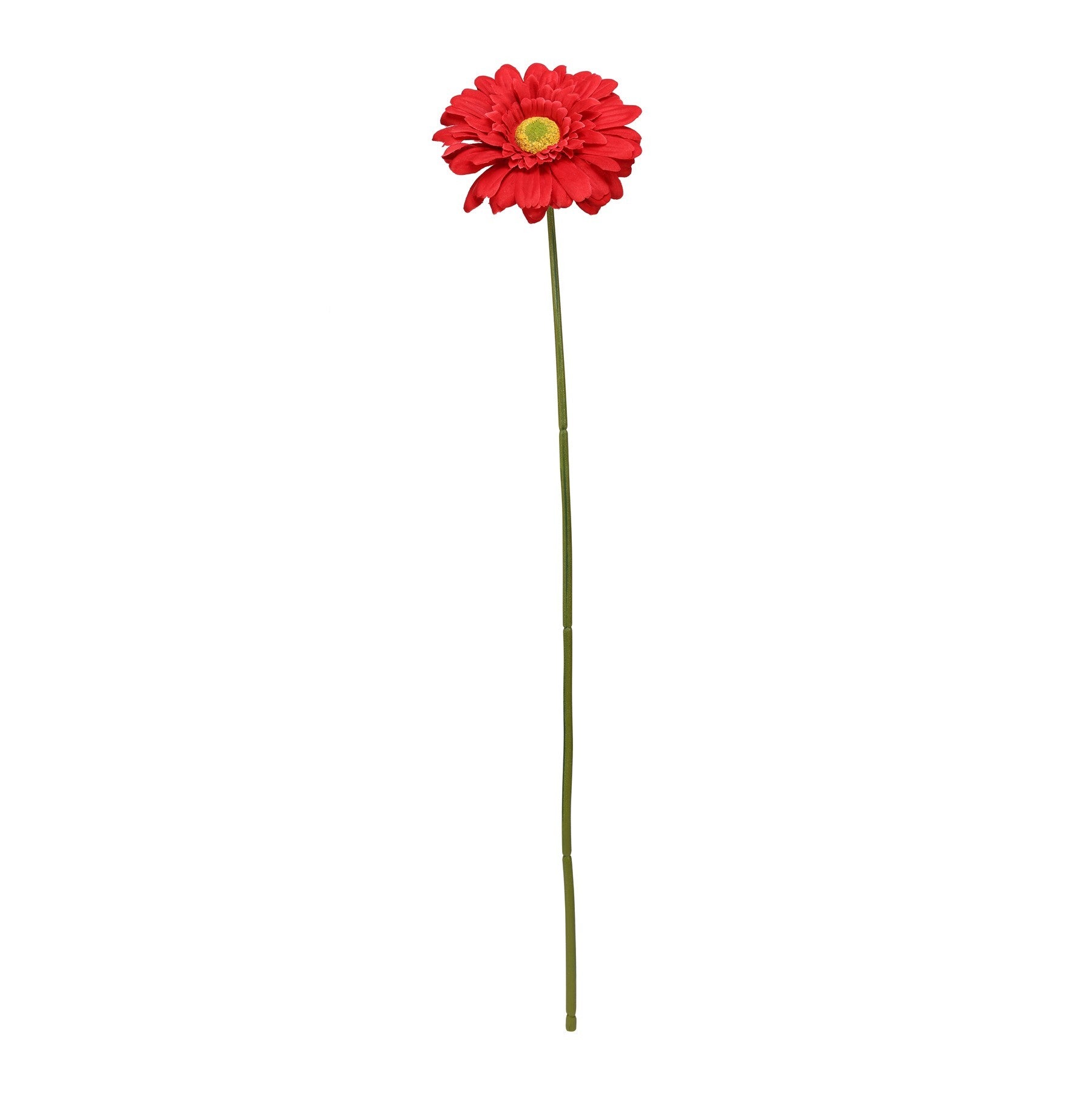 View Red Gerbera Stem 72cm information