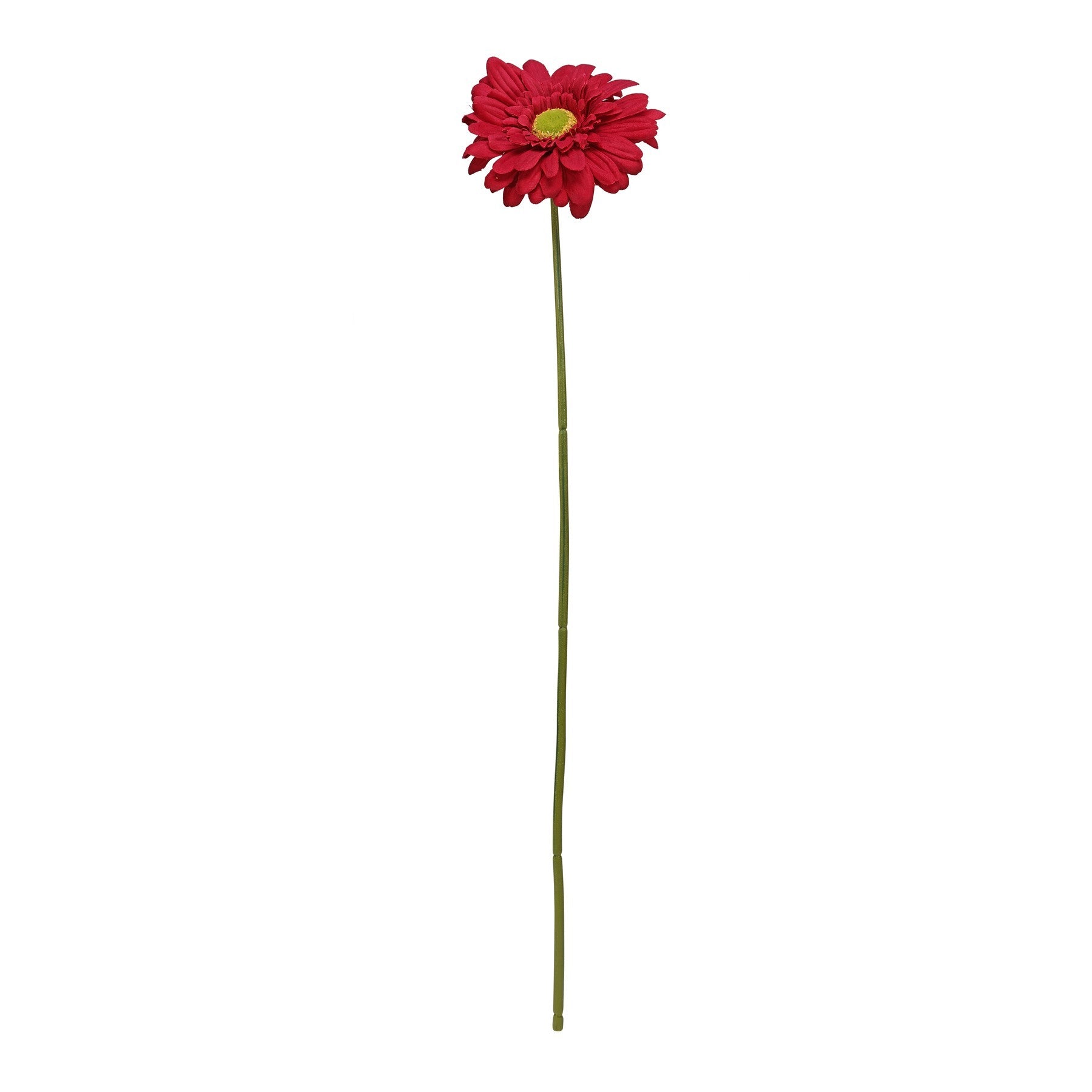 View Single Burgundy Gerbera 72cm information