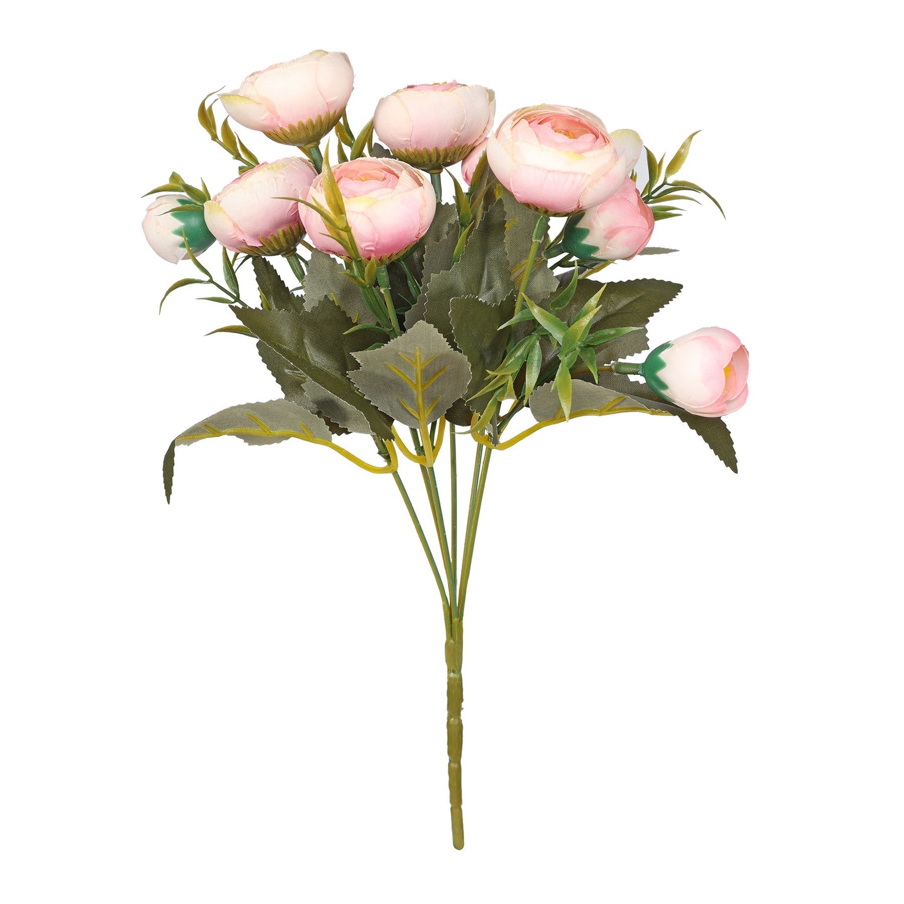 View Essential Pink Ranunculus Bush information