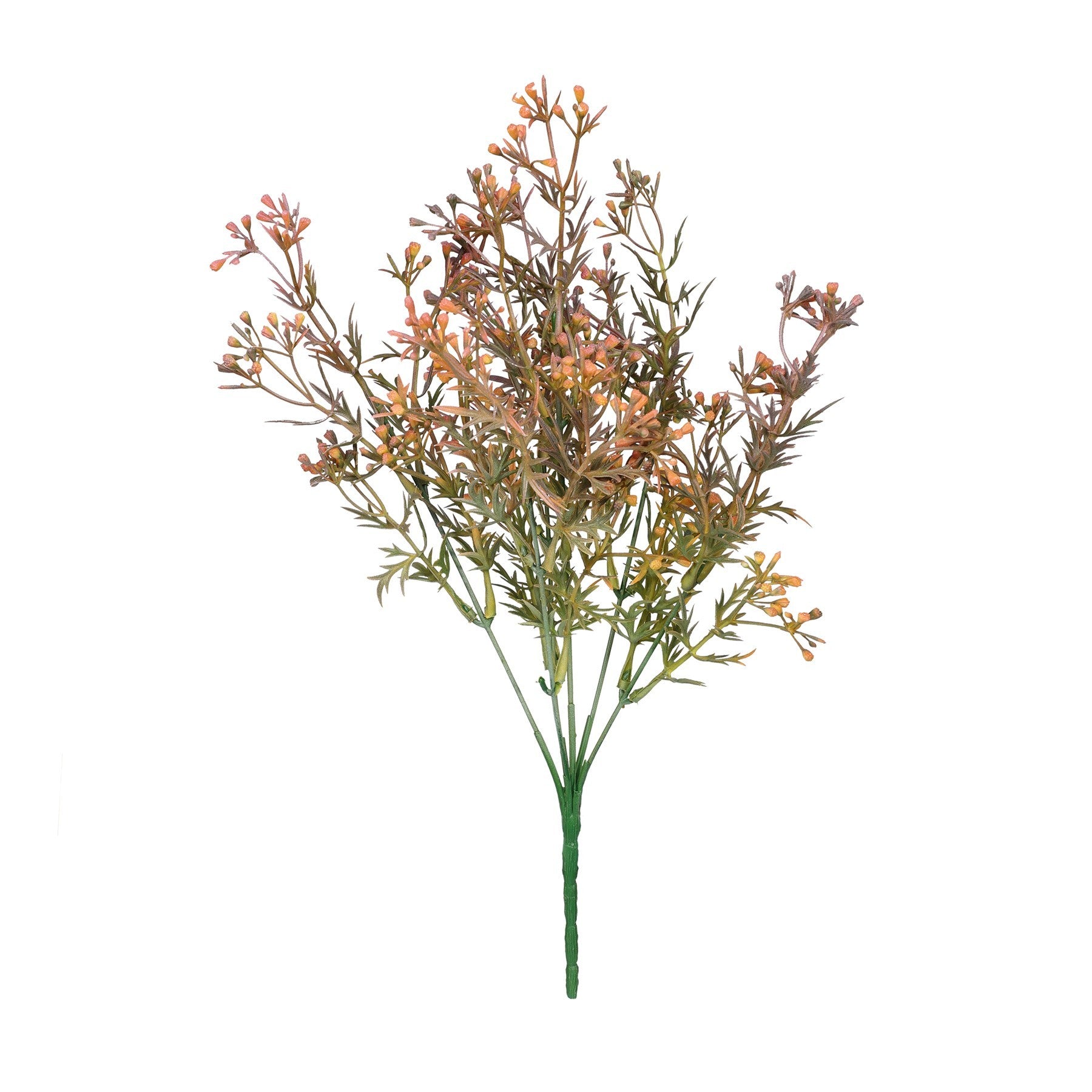 View Essential Brown Heather Bud Bush information