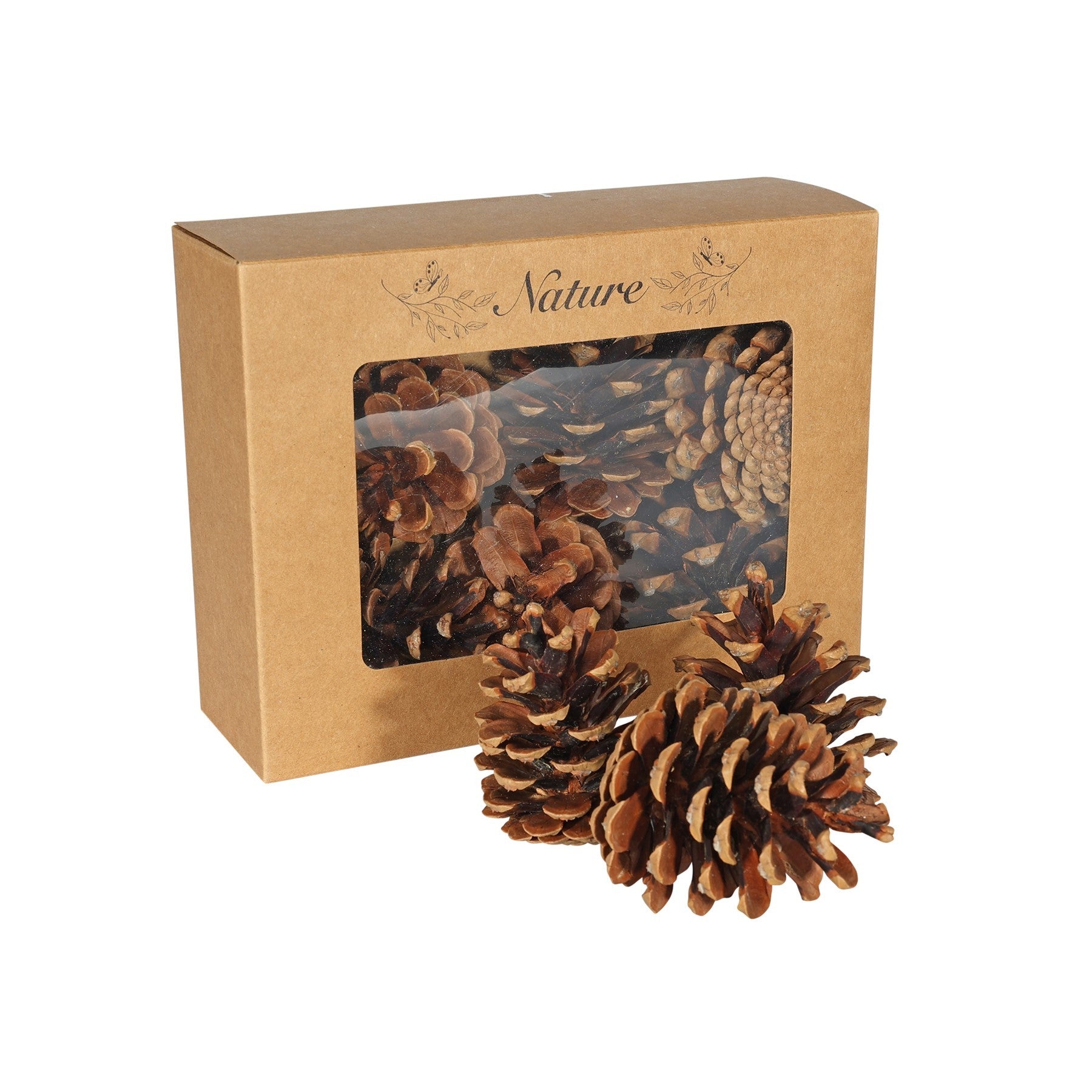 View Dried Pine Cones in Box Pack of 9 information