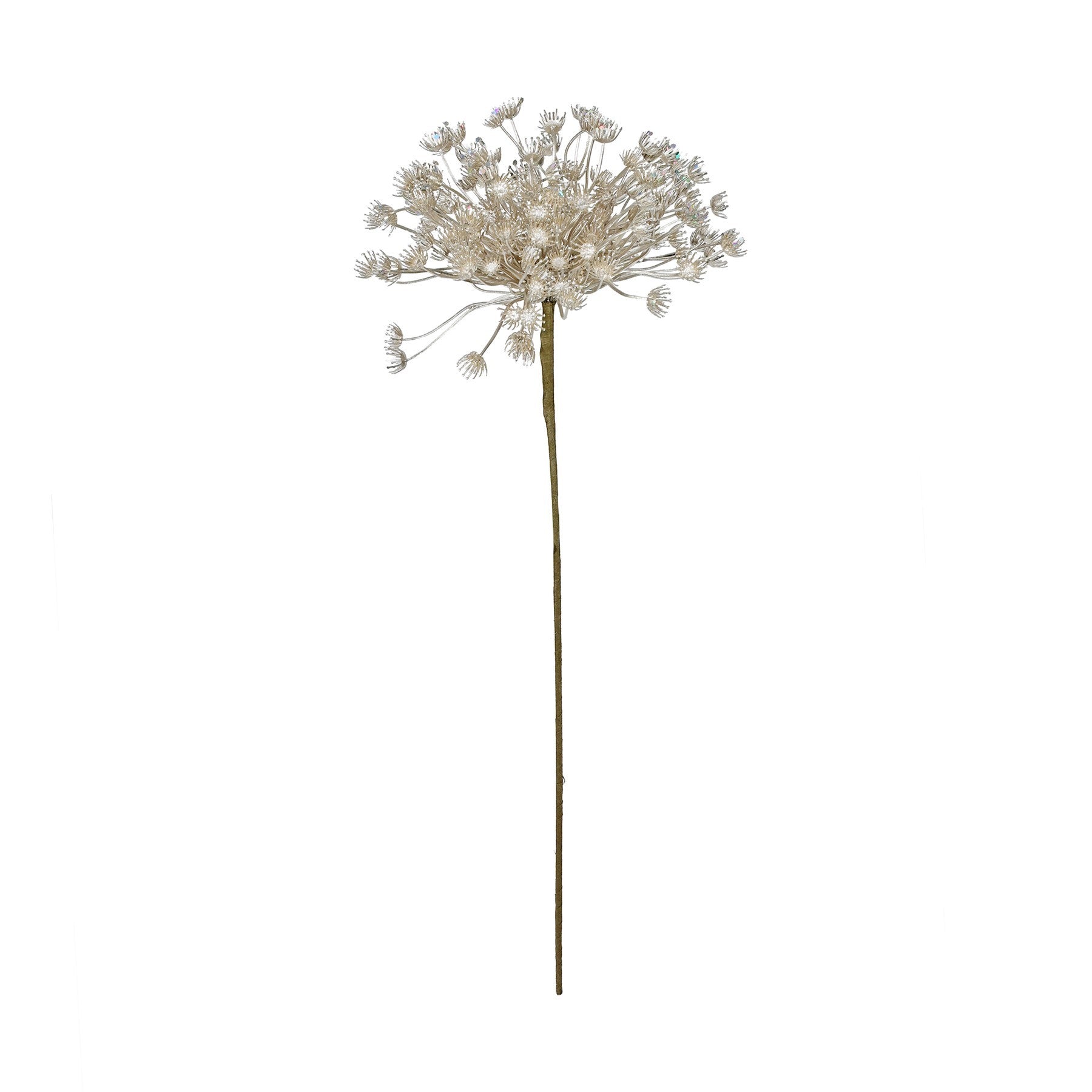 View Champagne Metallic Allium with Giltter information