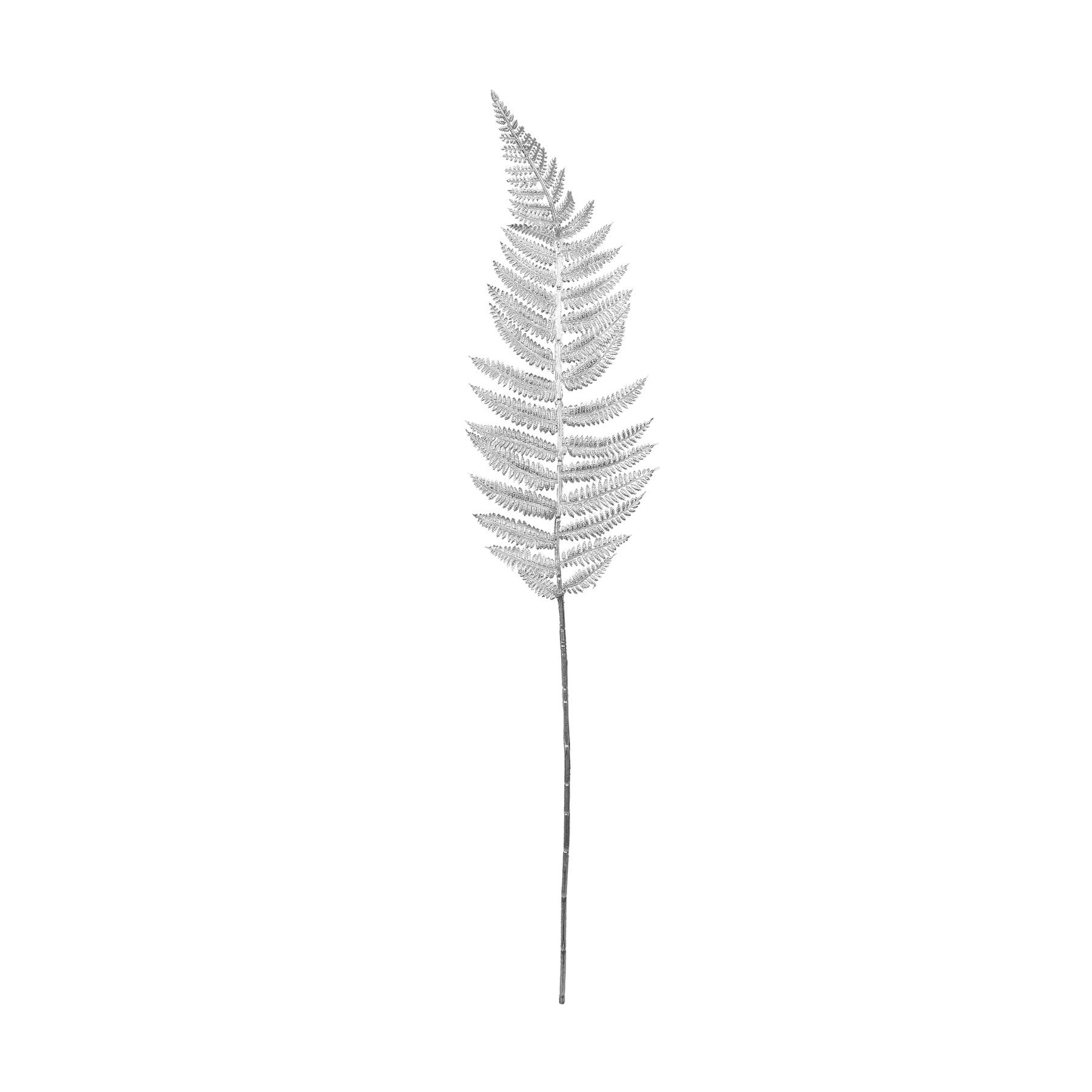 View Metallic Fern Leaf stem Silver information