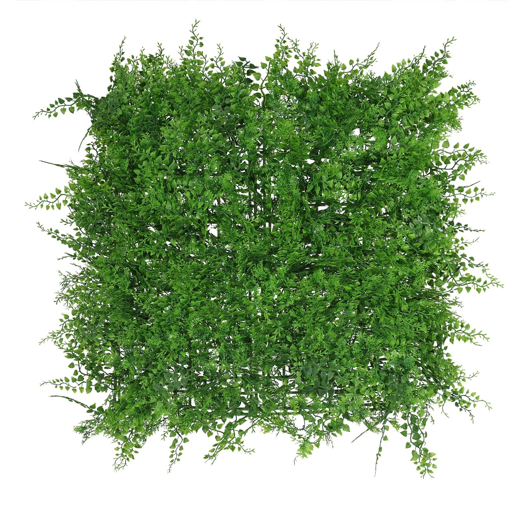 View Exterior UV Fern Leaf Green Wall Panel information