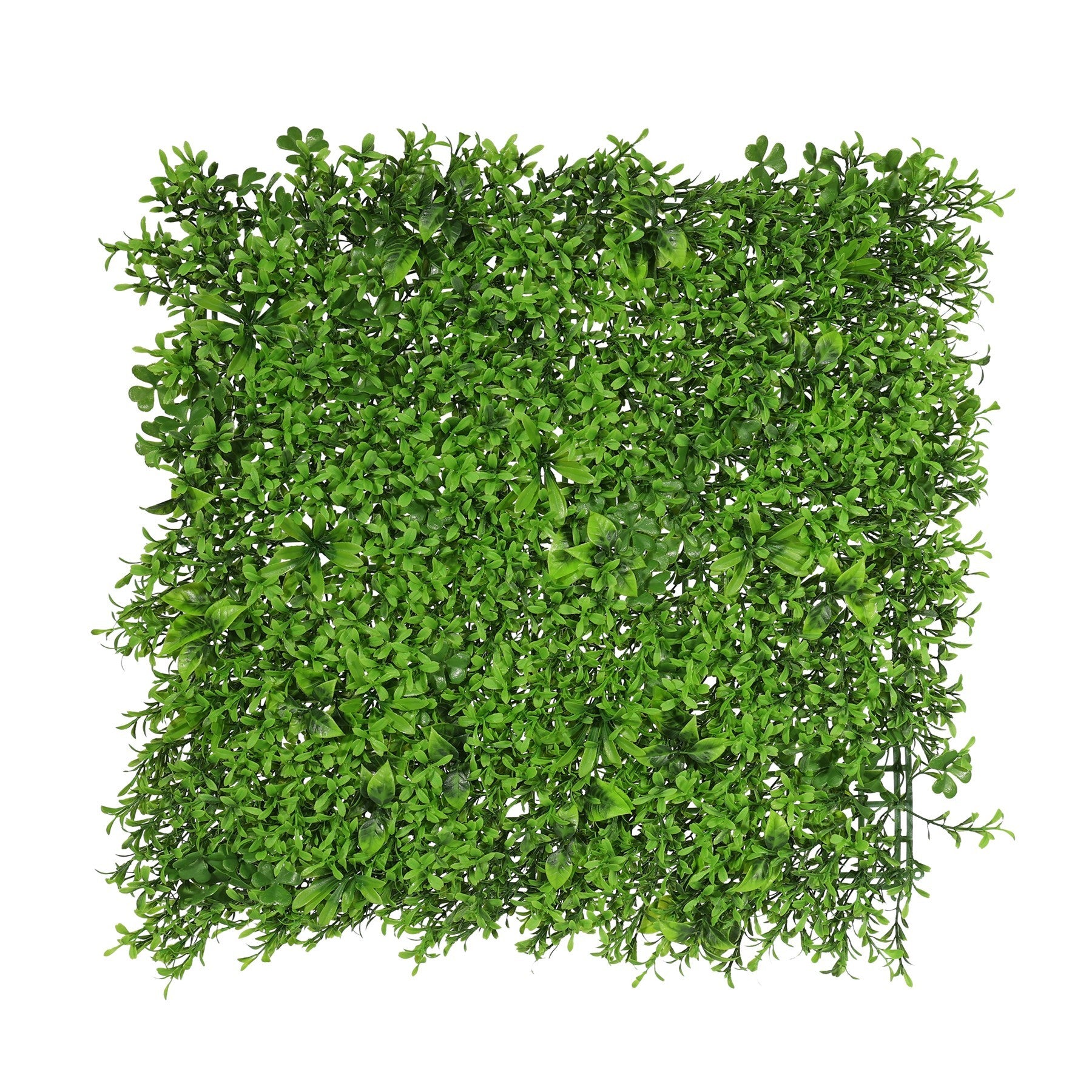 View Exterior UV Mixed Leaf Green Wall Panel information