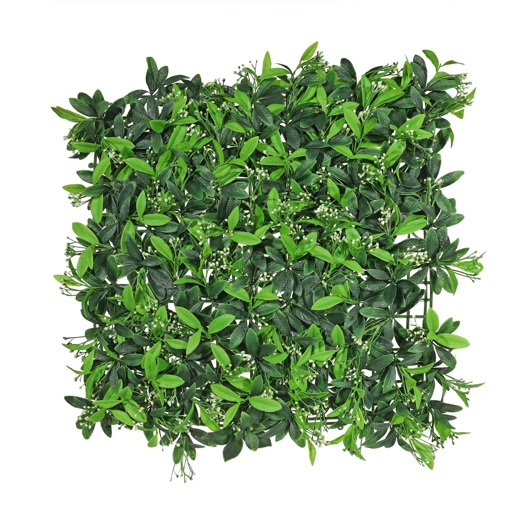 View Exterior UV Osmanthus Leaf Green Wall Panel information