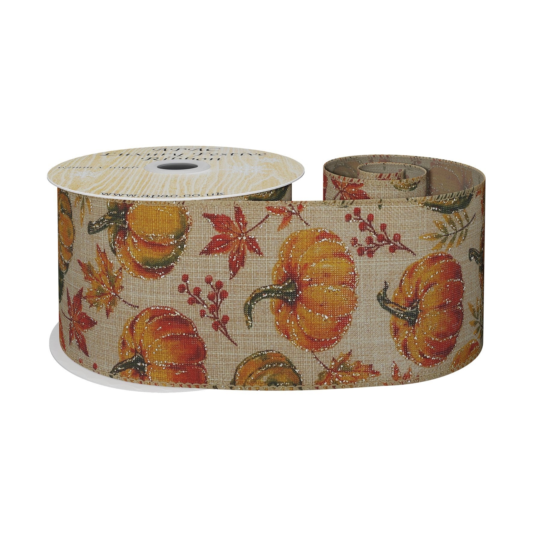 View Autumn Ribbon with Pumpkins 63mm x 10 yards information