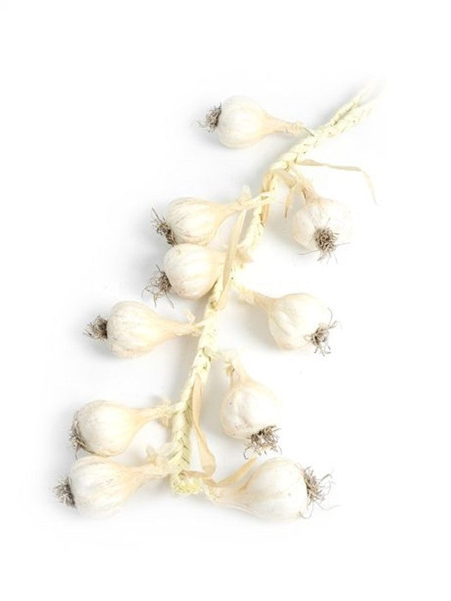View Artificial Hanging Garlic 50cm information