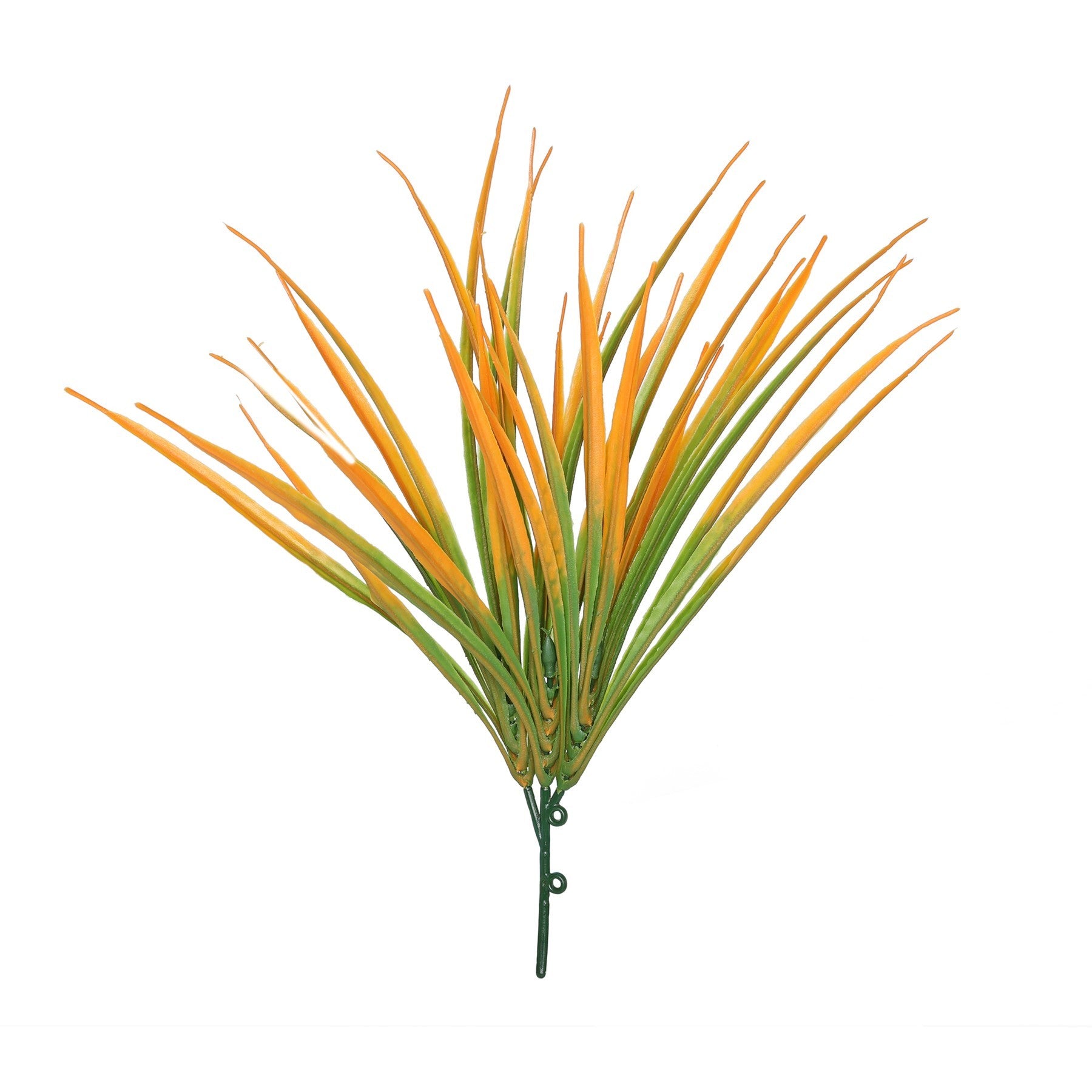 View Orange Hardy Grass 30cm information