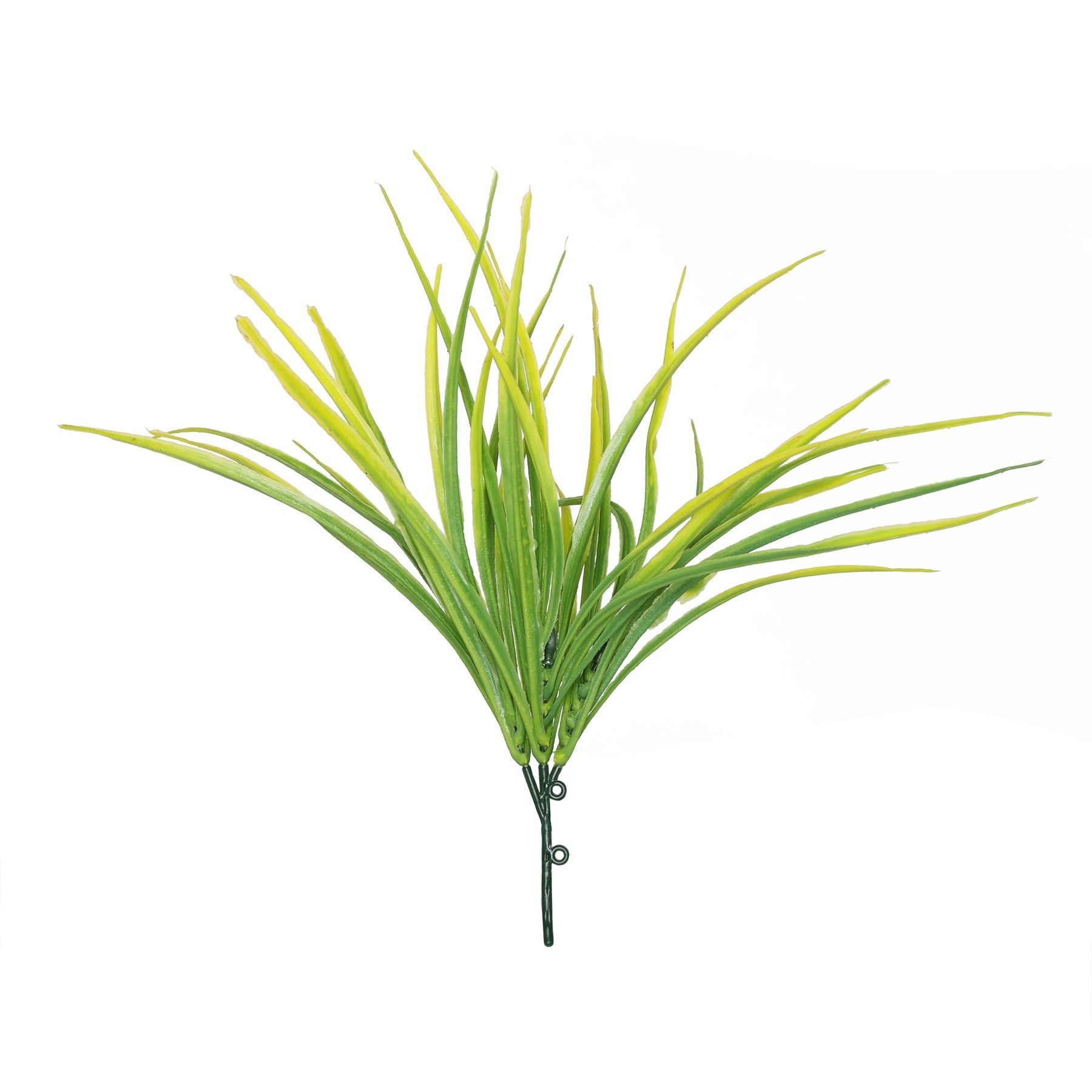 View Yellow Hardy Grass 30cm information