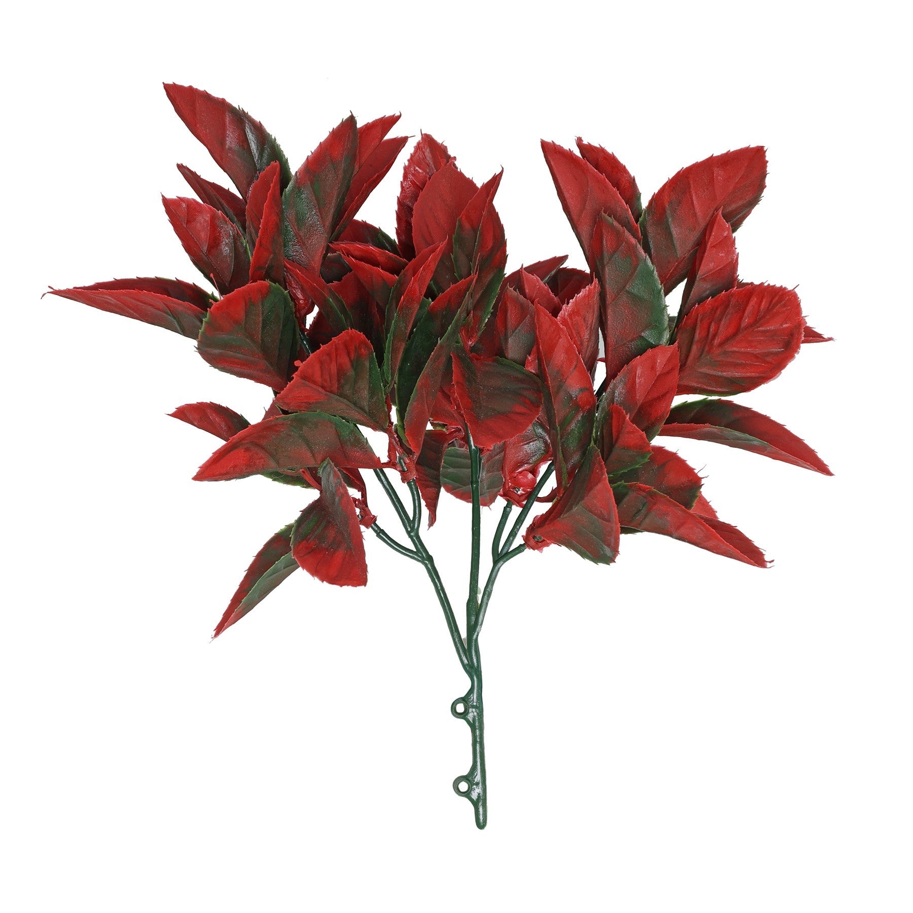 View Red Fiery Bush 30cm information