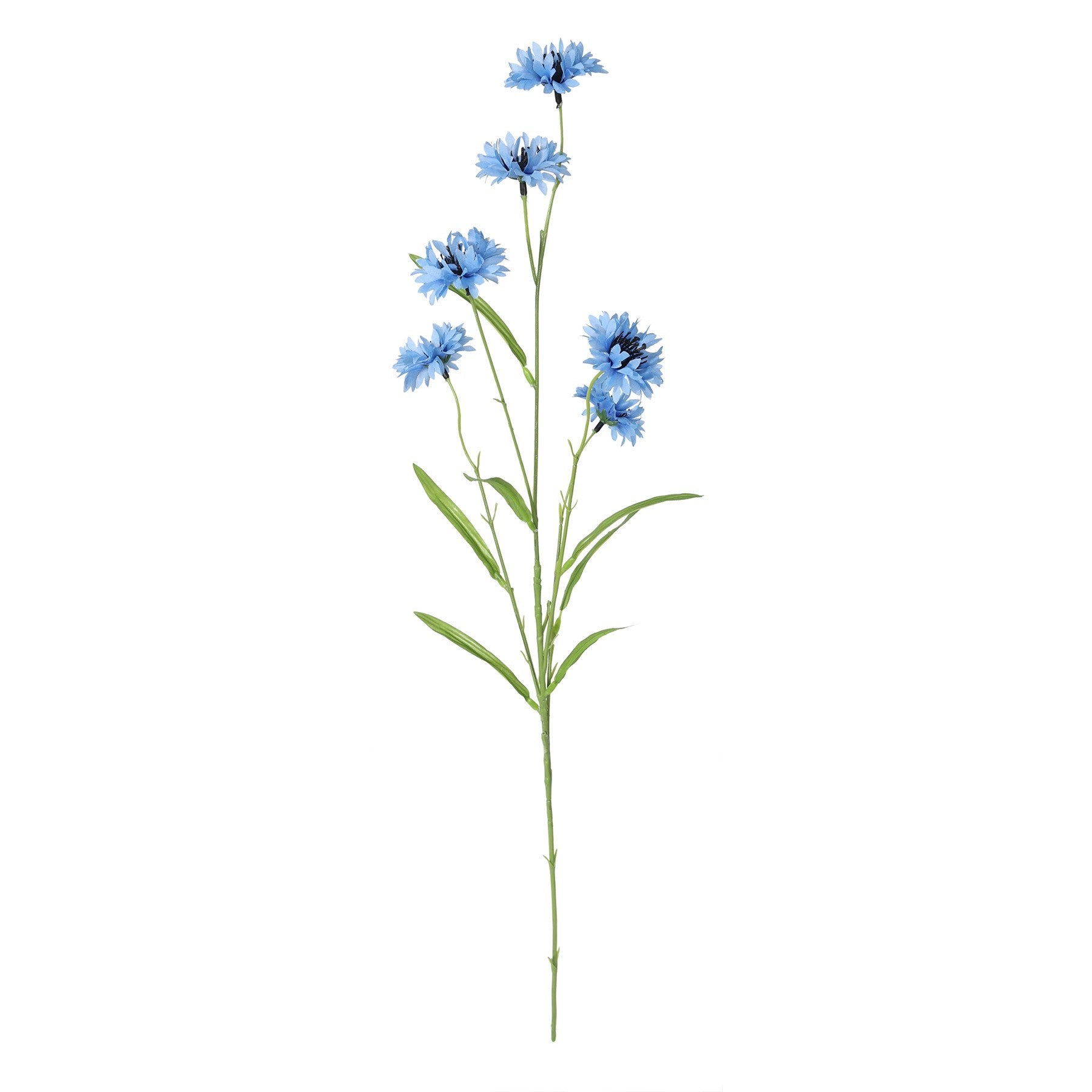 View Light Blue Wild Cornflower Spray 63cm information